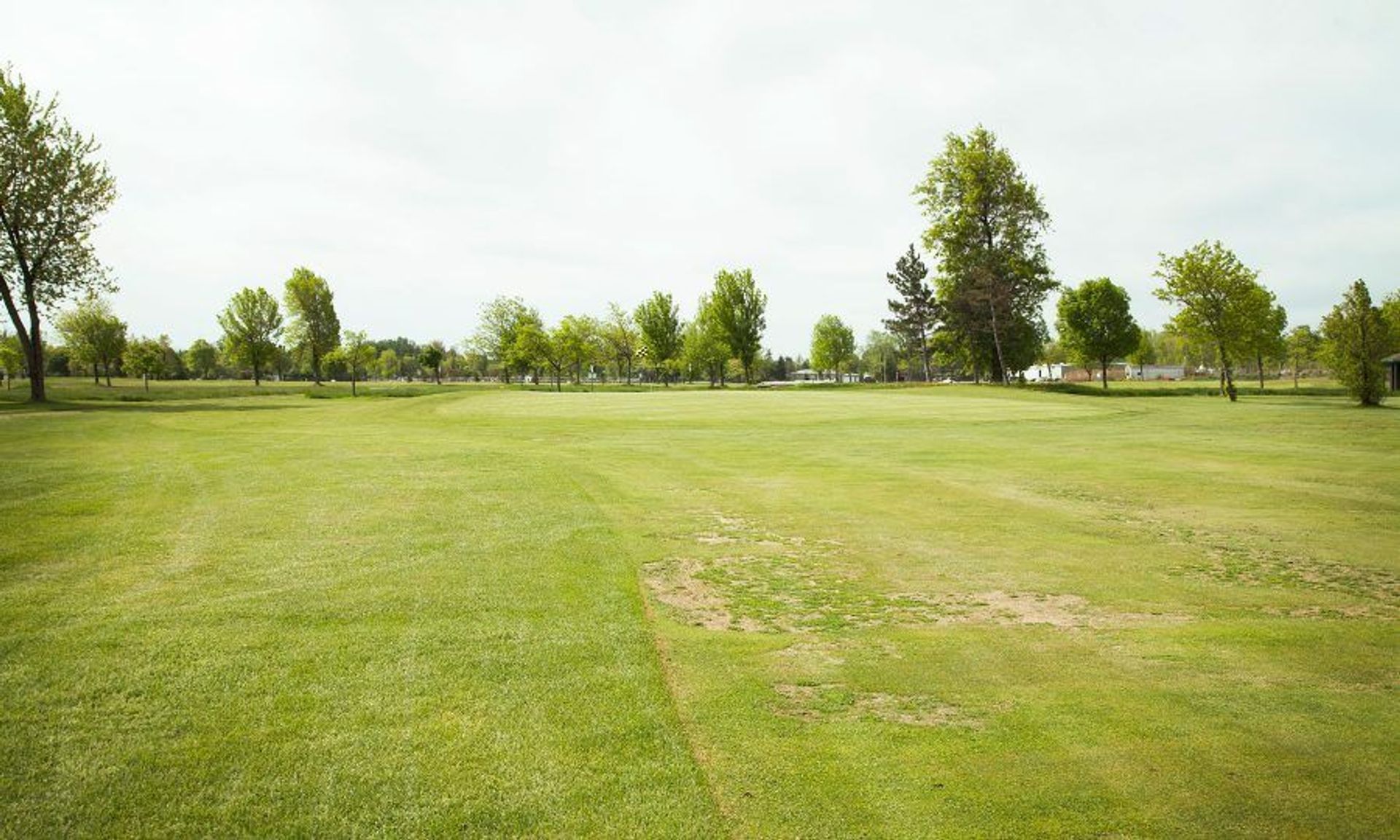 Amherst Audubon Golf Course (Main)