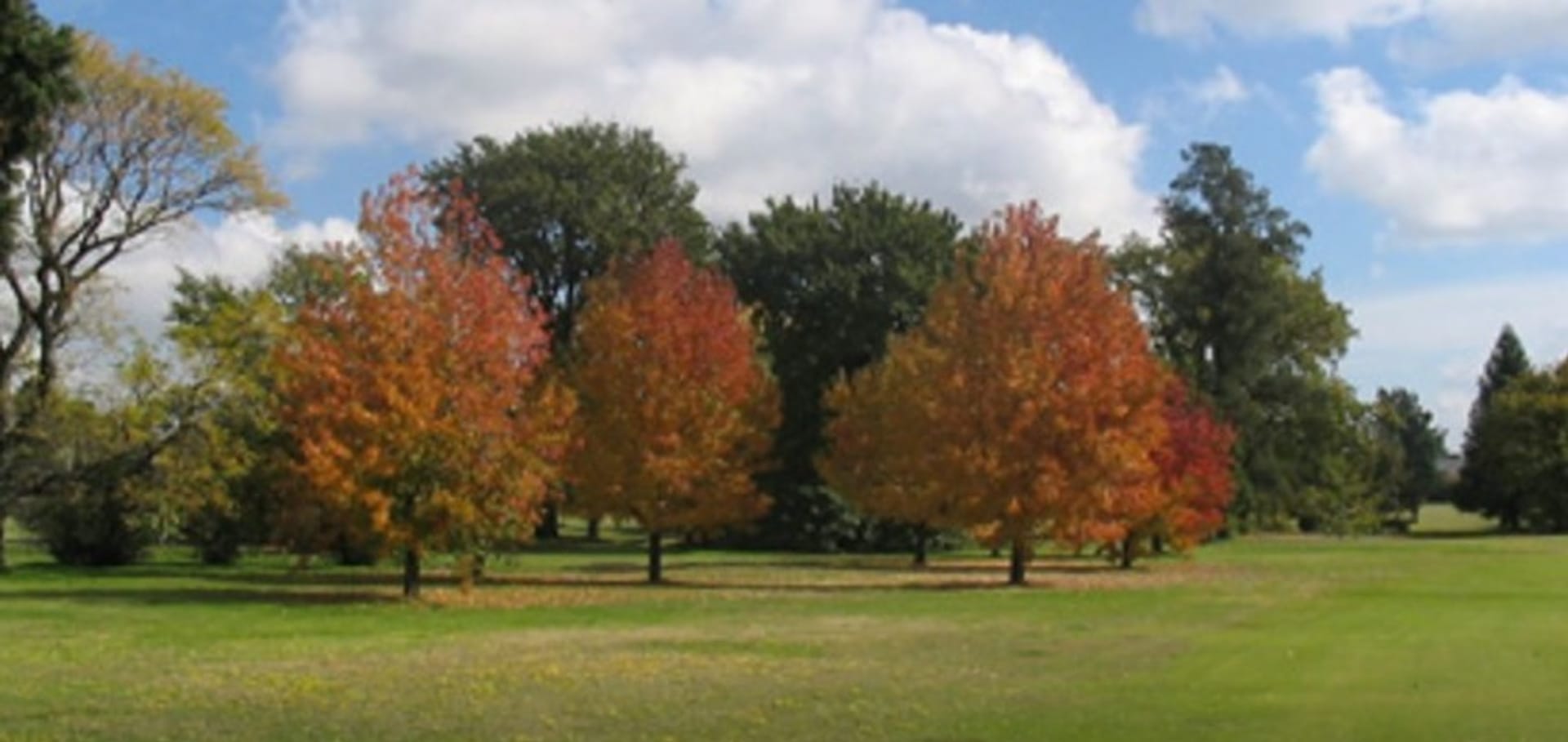 Hurlingham Club