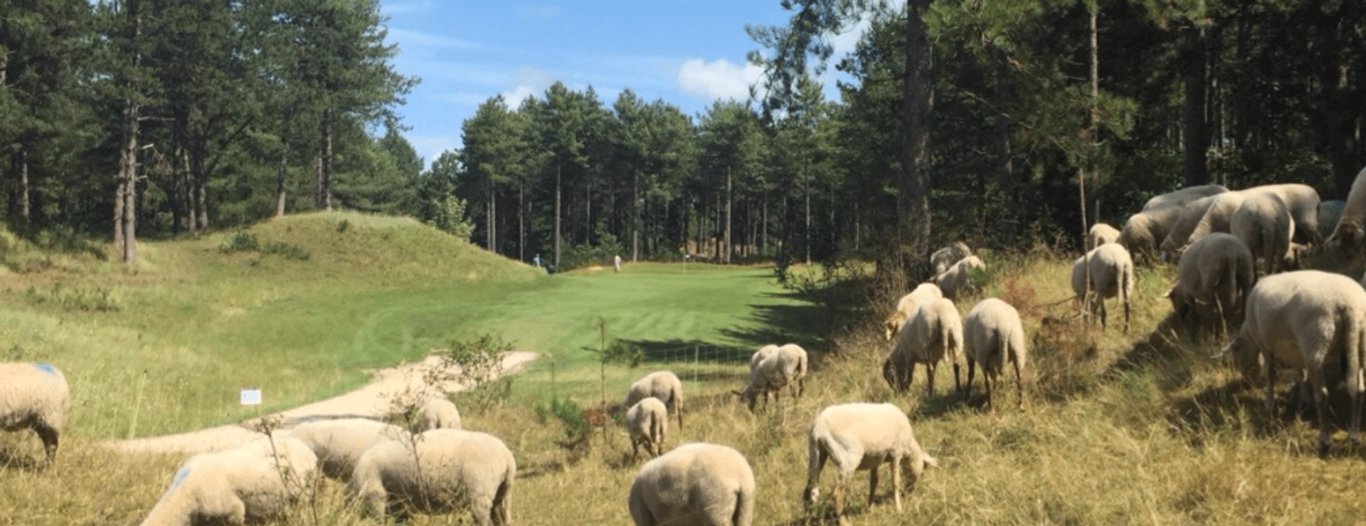 Noordwijkse Golfclub