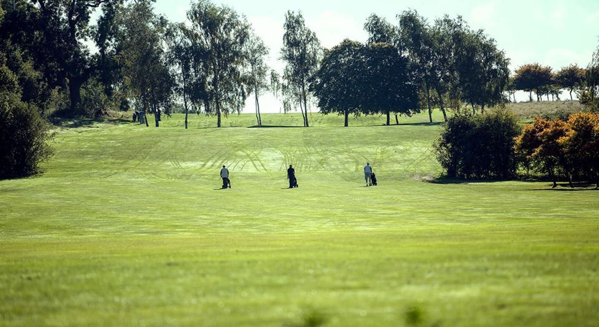 Ansty Golf Centre (Academy)