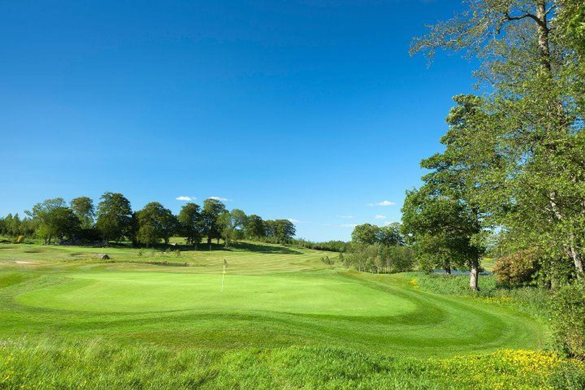 Meldrum House Golf Course
