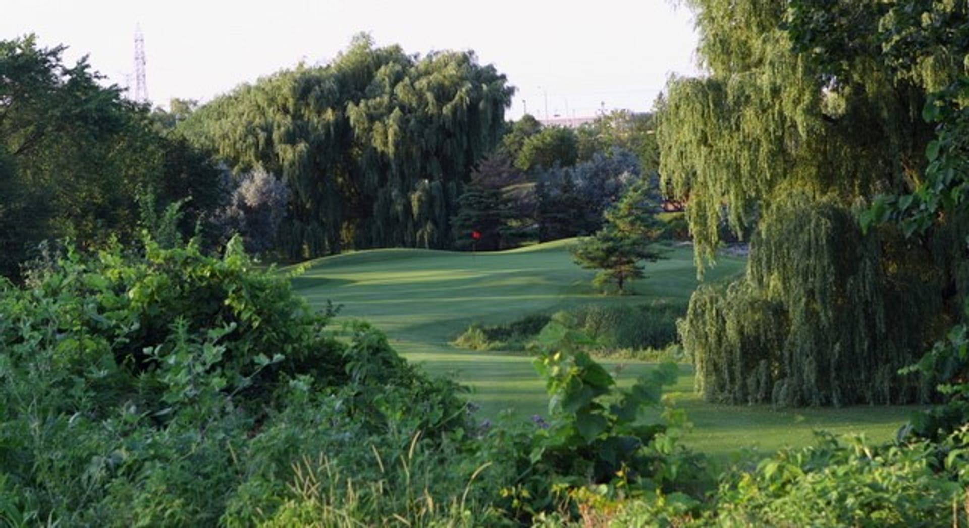 Derrydale Golf Course