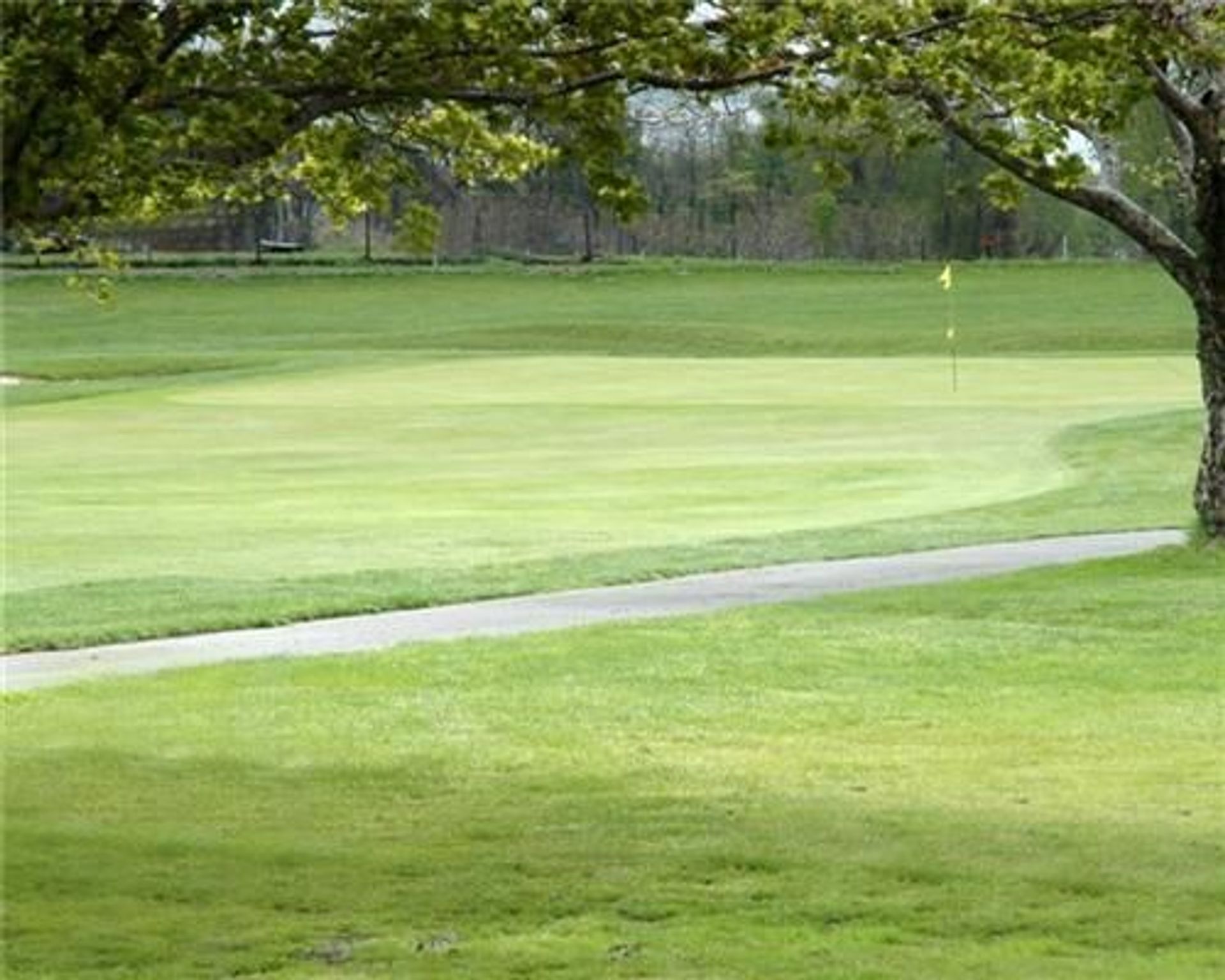 Downing Golf Course