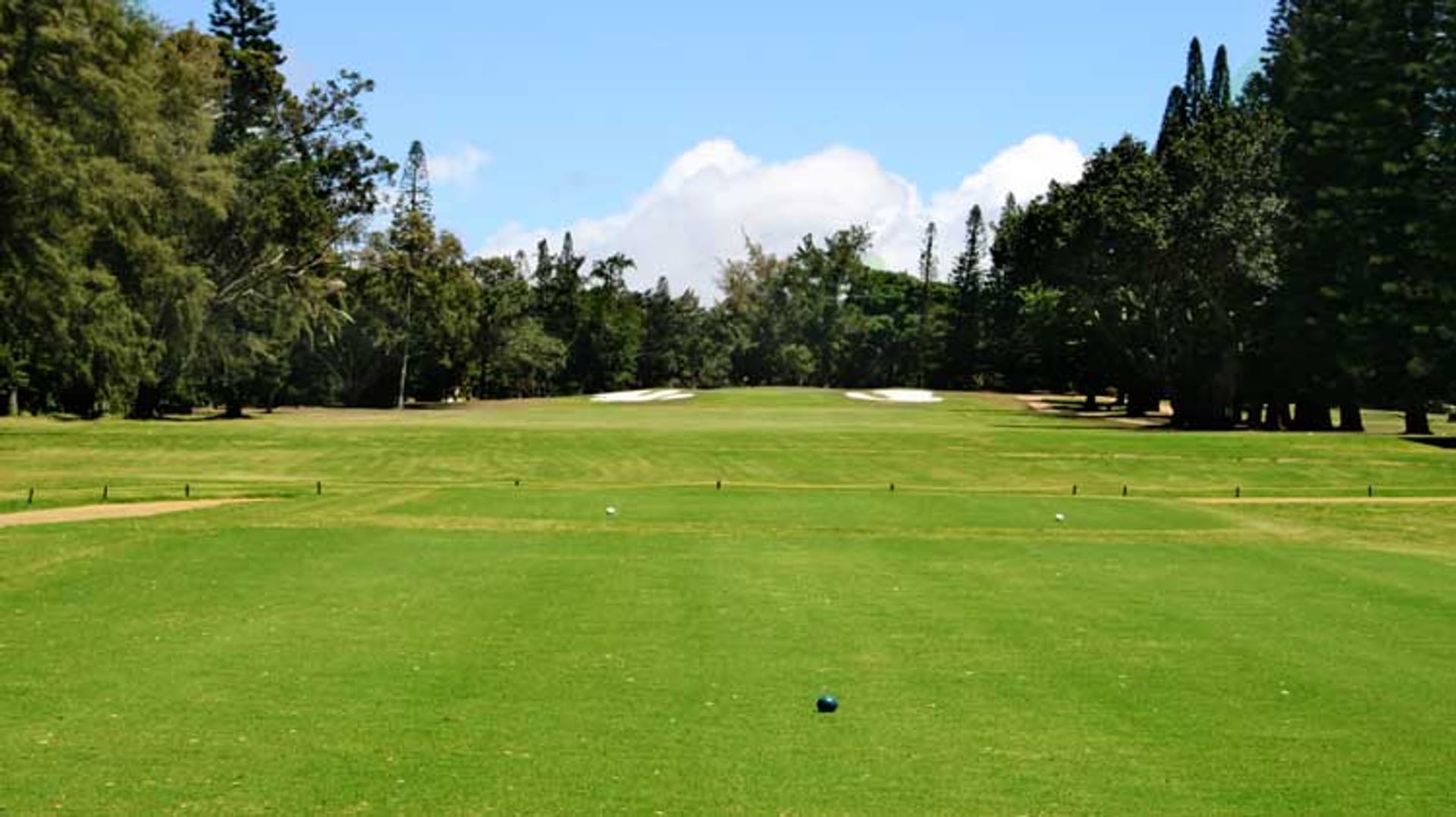 Walter J Nagorski Golf Course