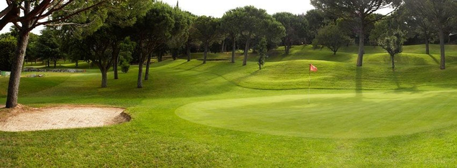 Pitch & Putt HCP 1