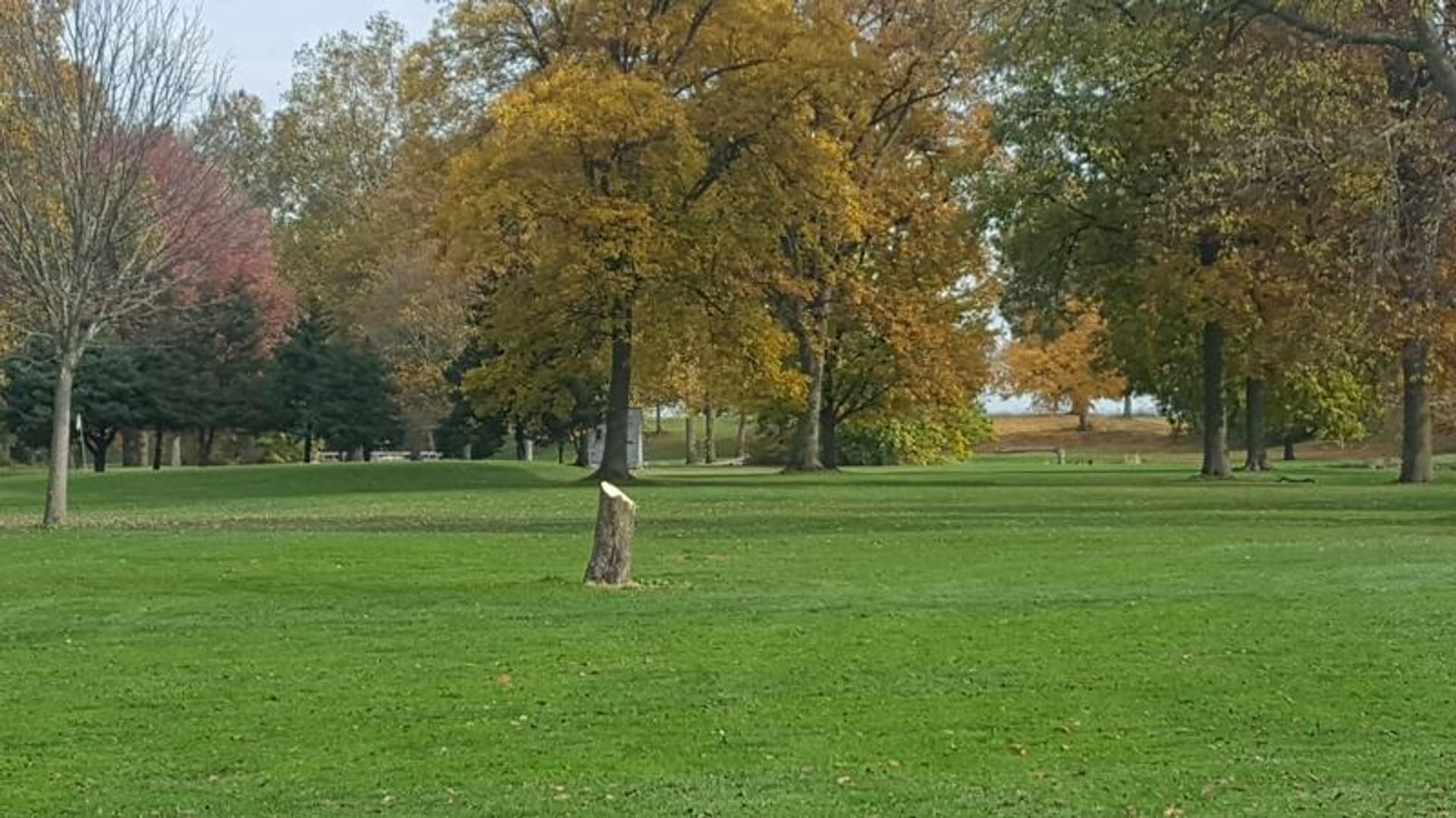 Sugar Creek Golf Course - Elmore