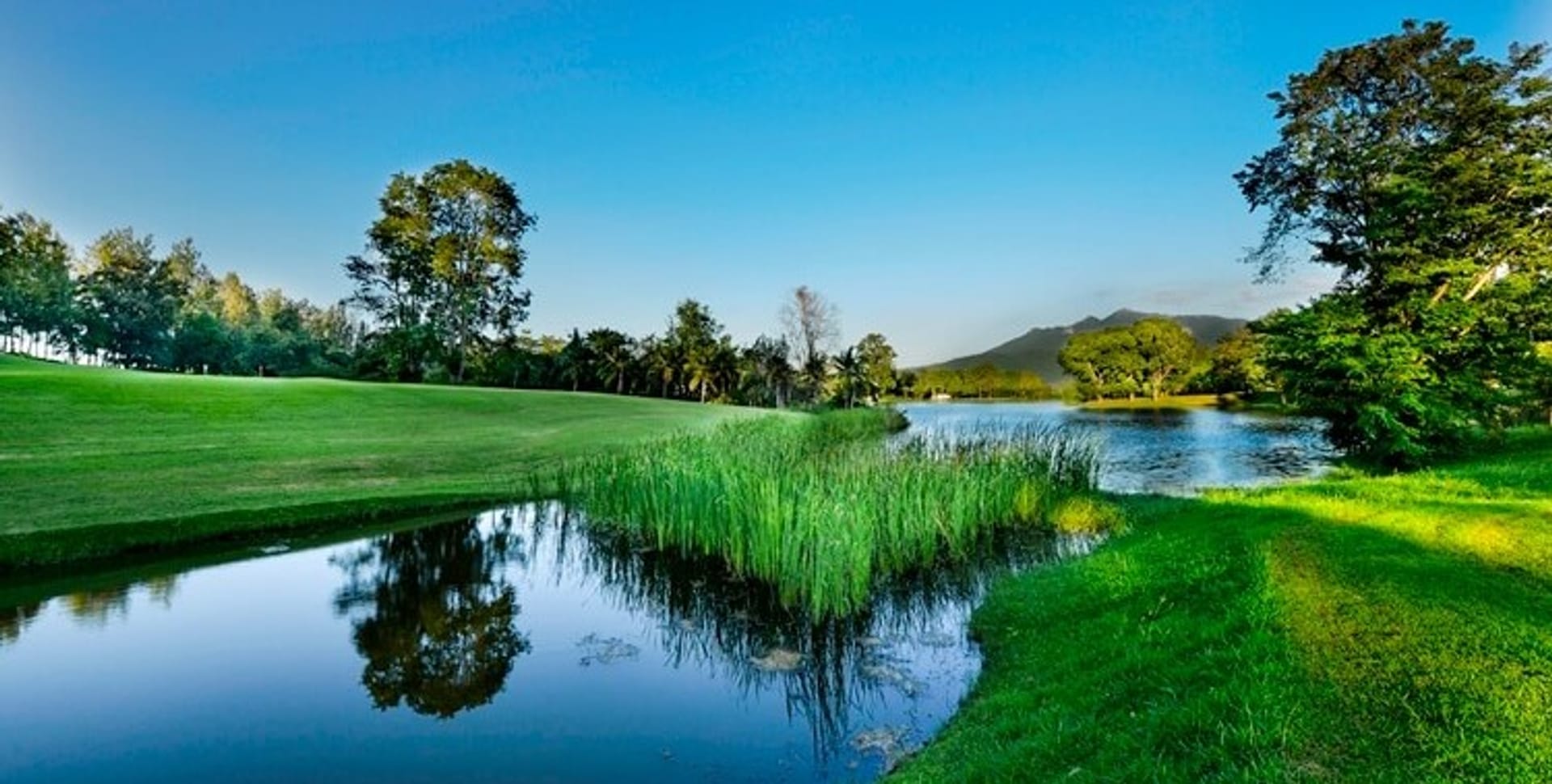 Forest Hill Country Club - Sir James Resort