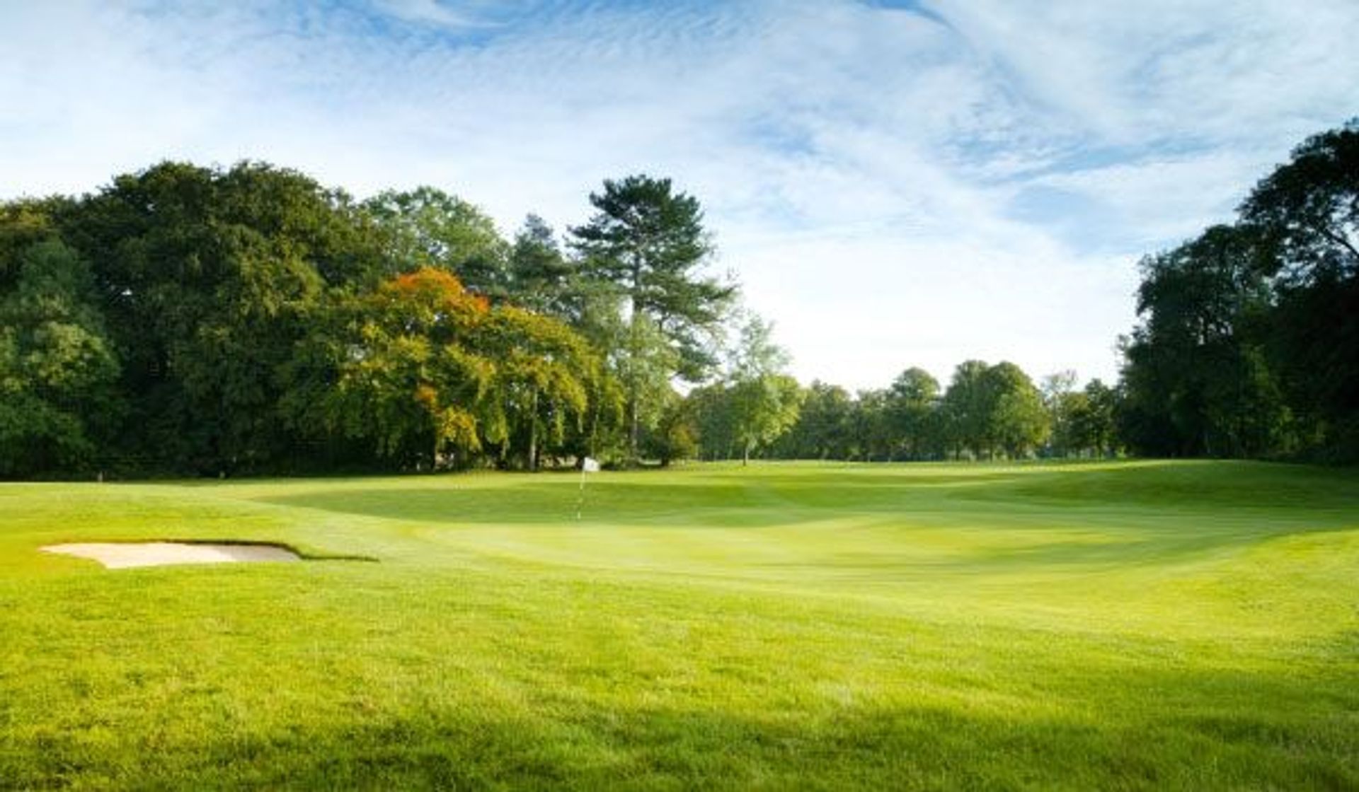 Aldwickbury Park Golf Club (Manor)
