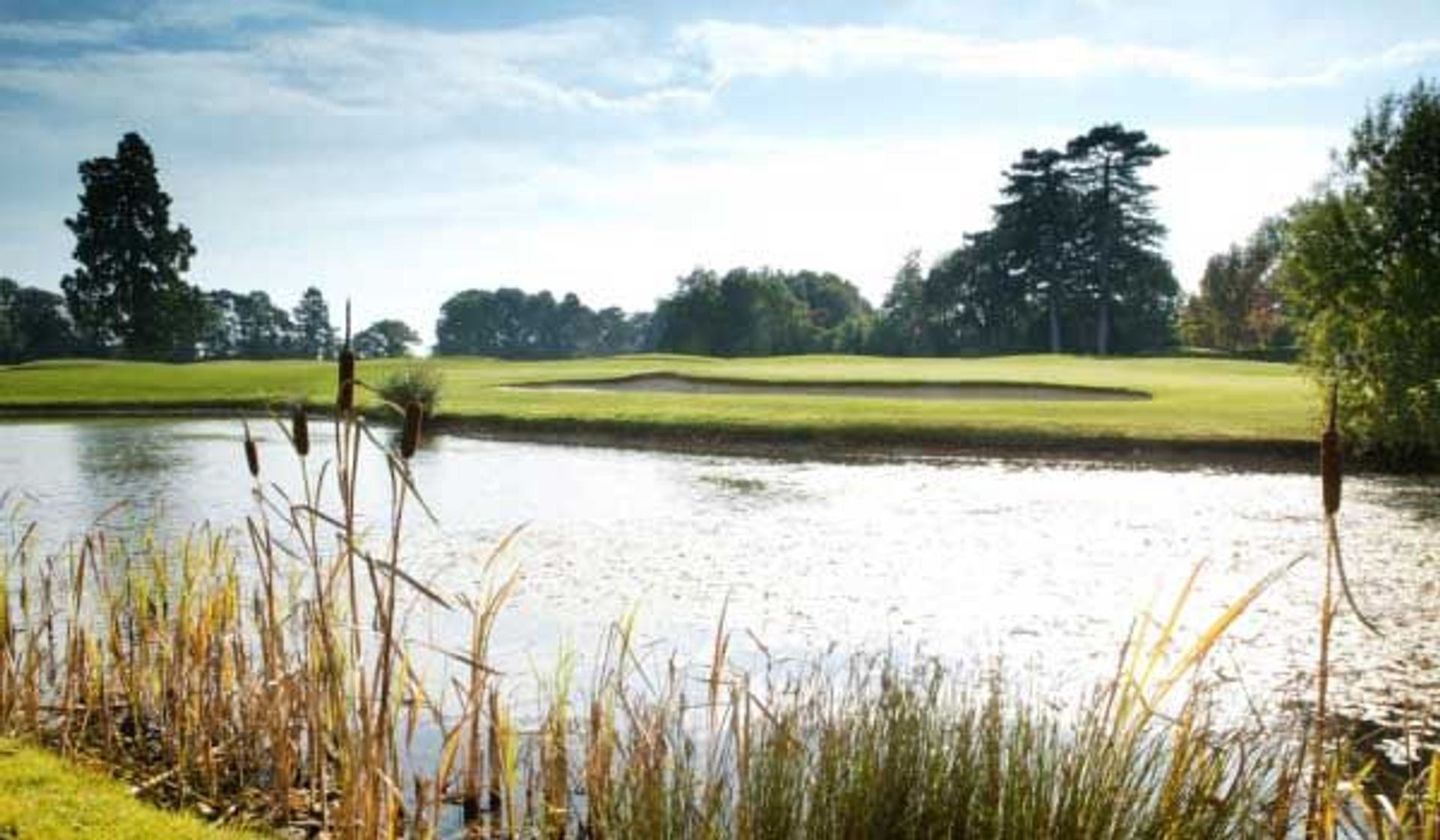 Aldwickbury Park Golf Club (Park)