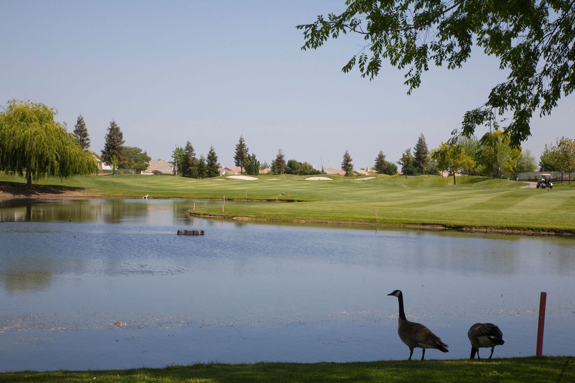 Timber Creek Golf Course (Sierra Pines)