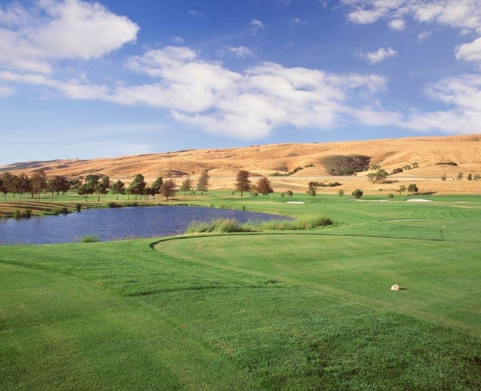 Coyote Creek Golf Club (Tournament)