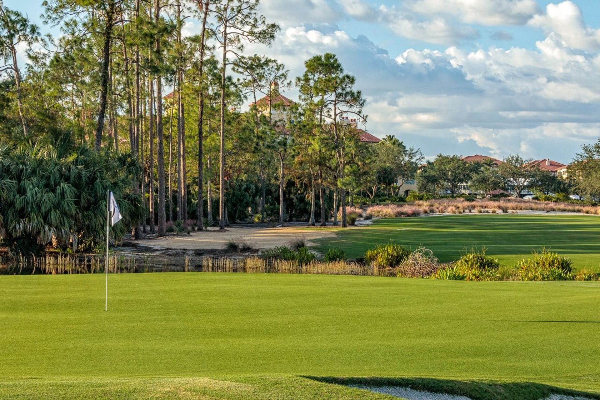 Tiburón Golf Club (Black)