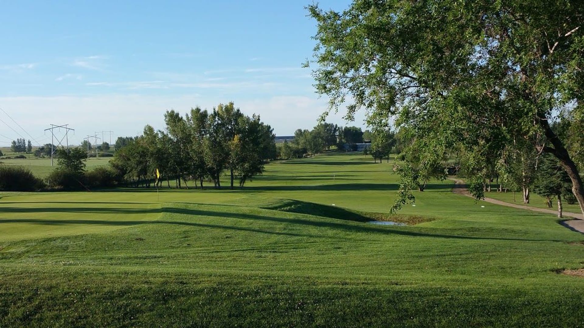Flowing Springs Golf Greens