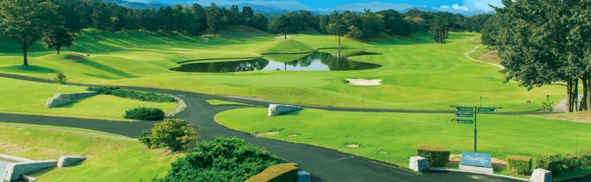 Golf Club Twin Fields (Gold)