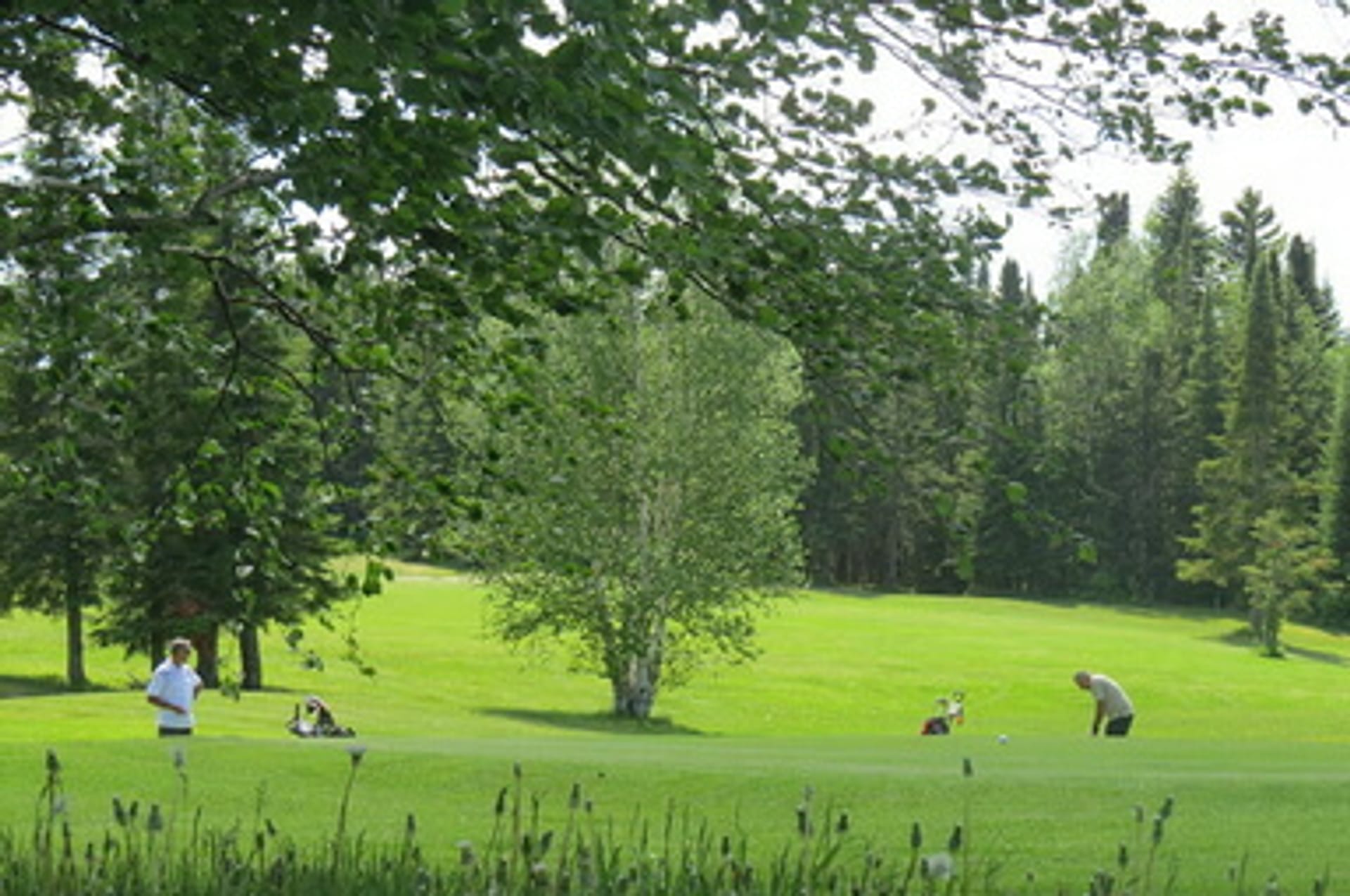 Hearst GC