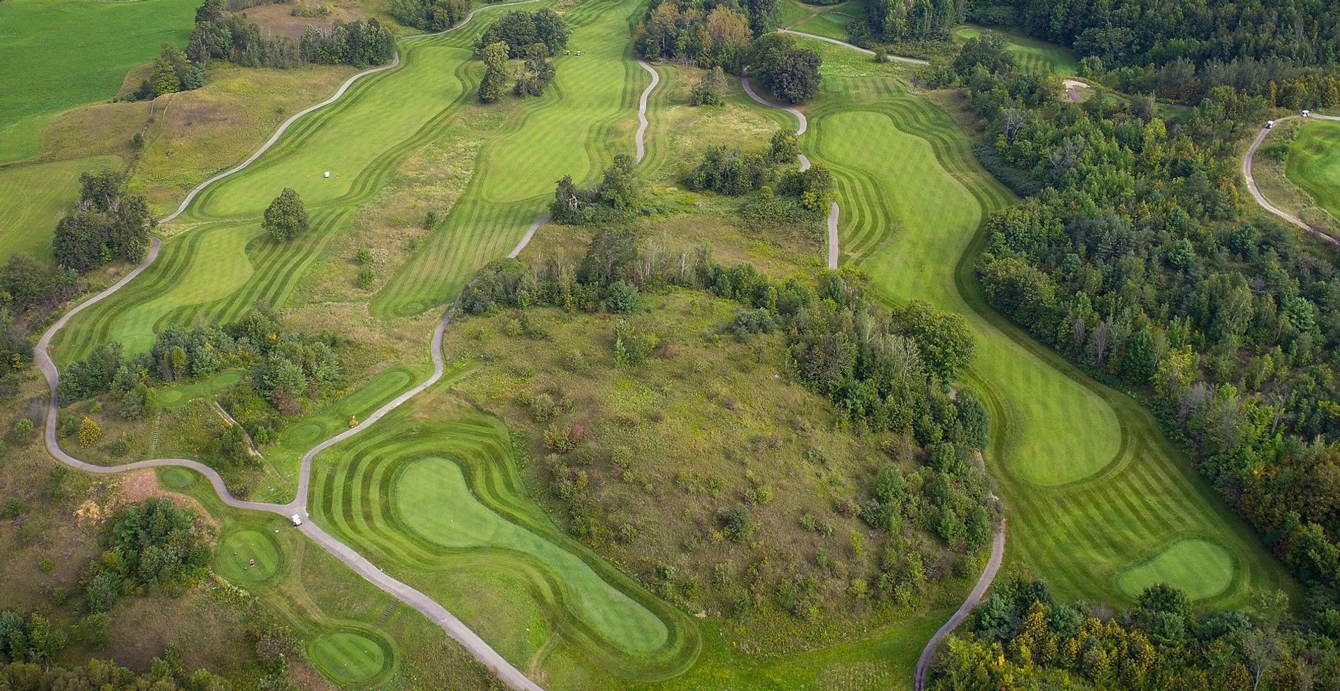 Hockley Valley Resort