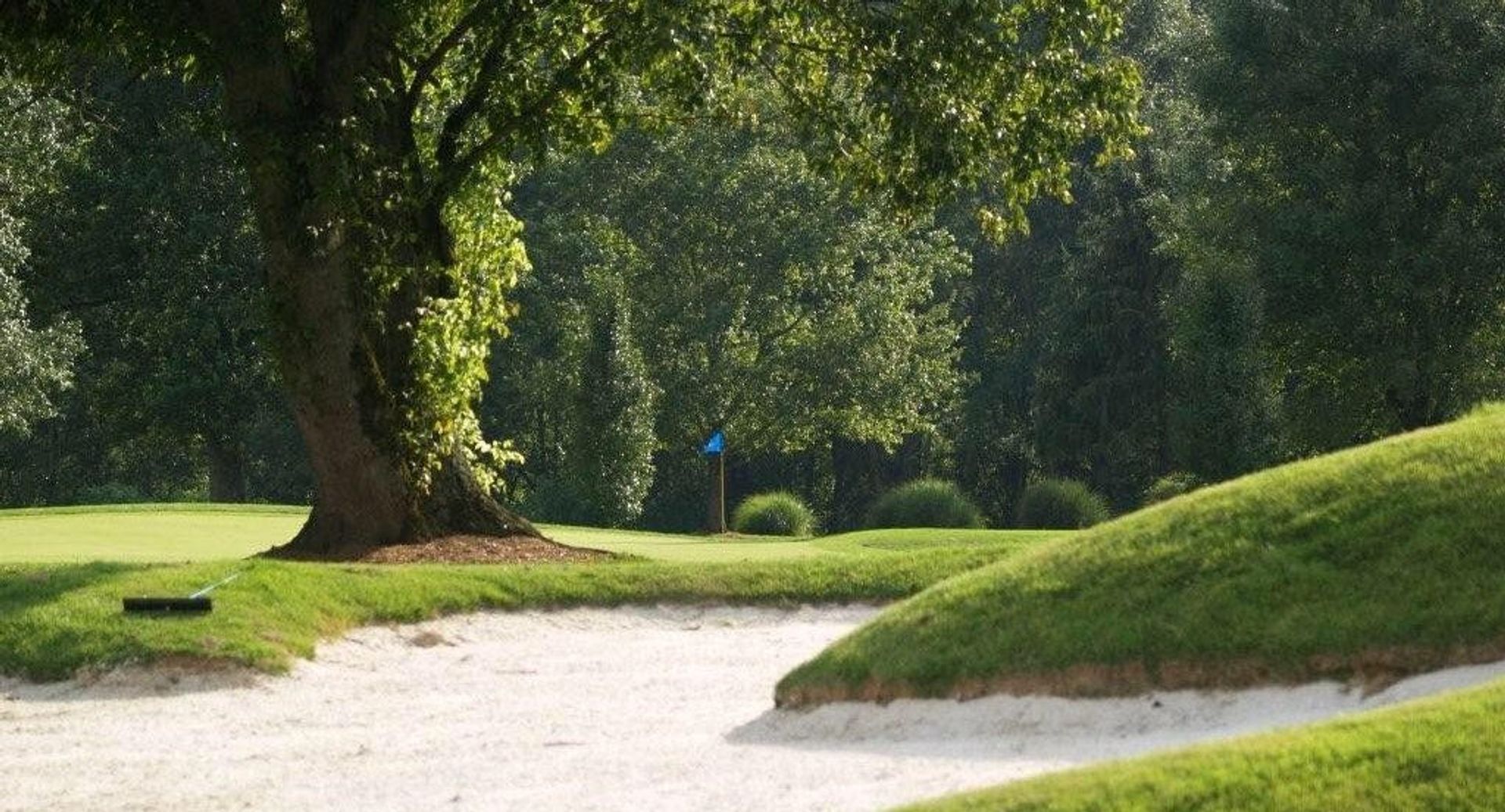 Green Meadow CC