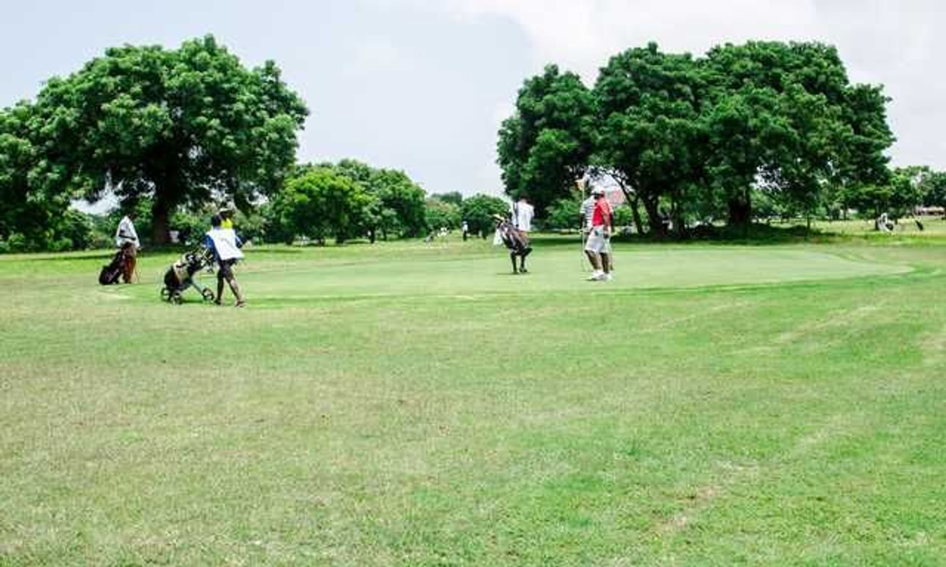 Celebrity Golf Club