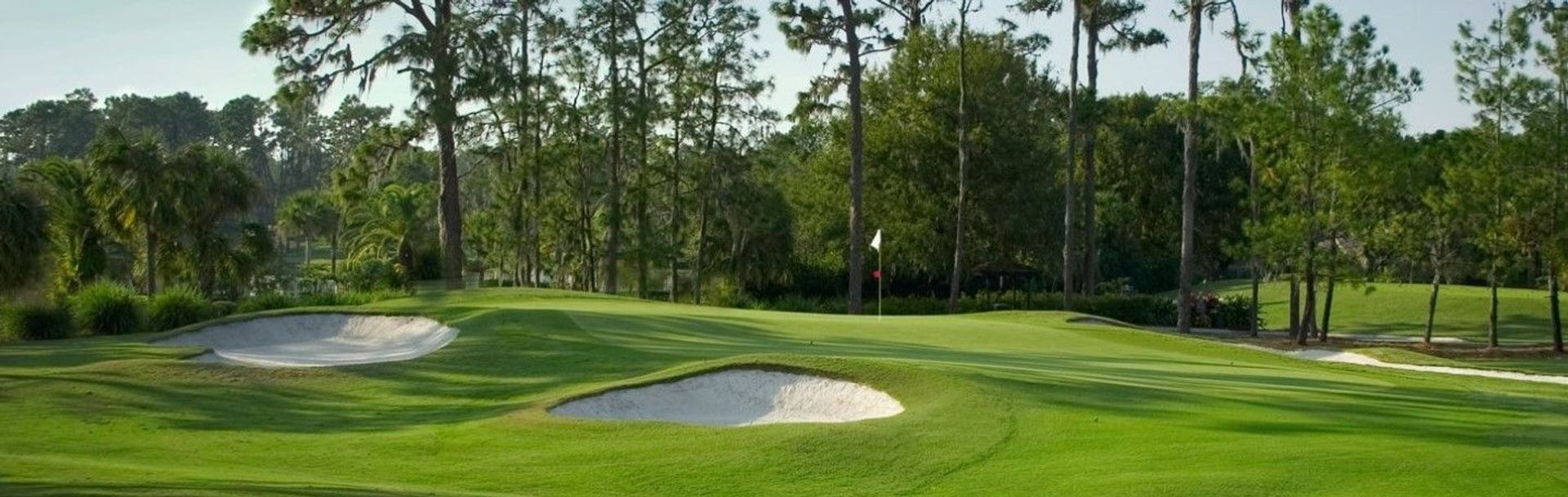 Saddlebrook Resort (Saddlebrook)