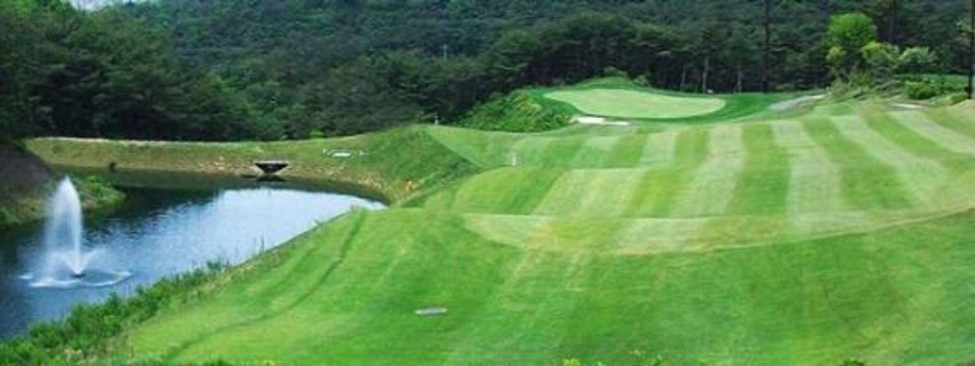 Springvale Resort