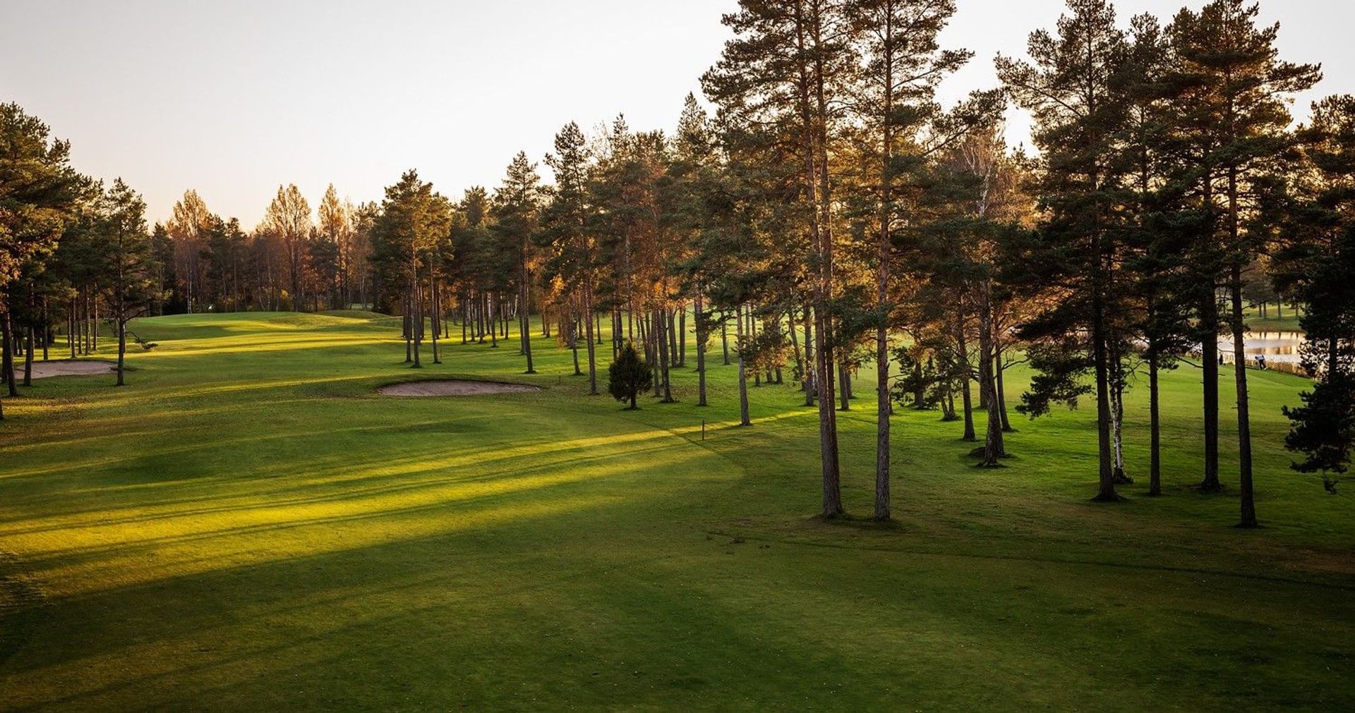 Niitvälja Golf (Par20)