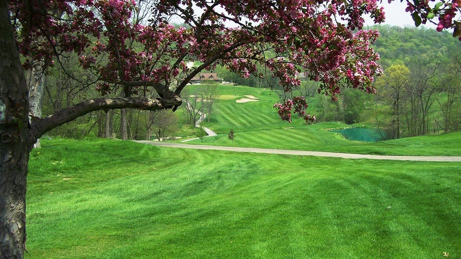 Eagle Ridge Resort (South)