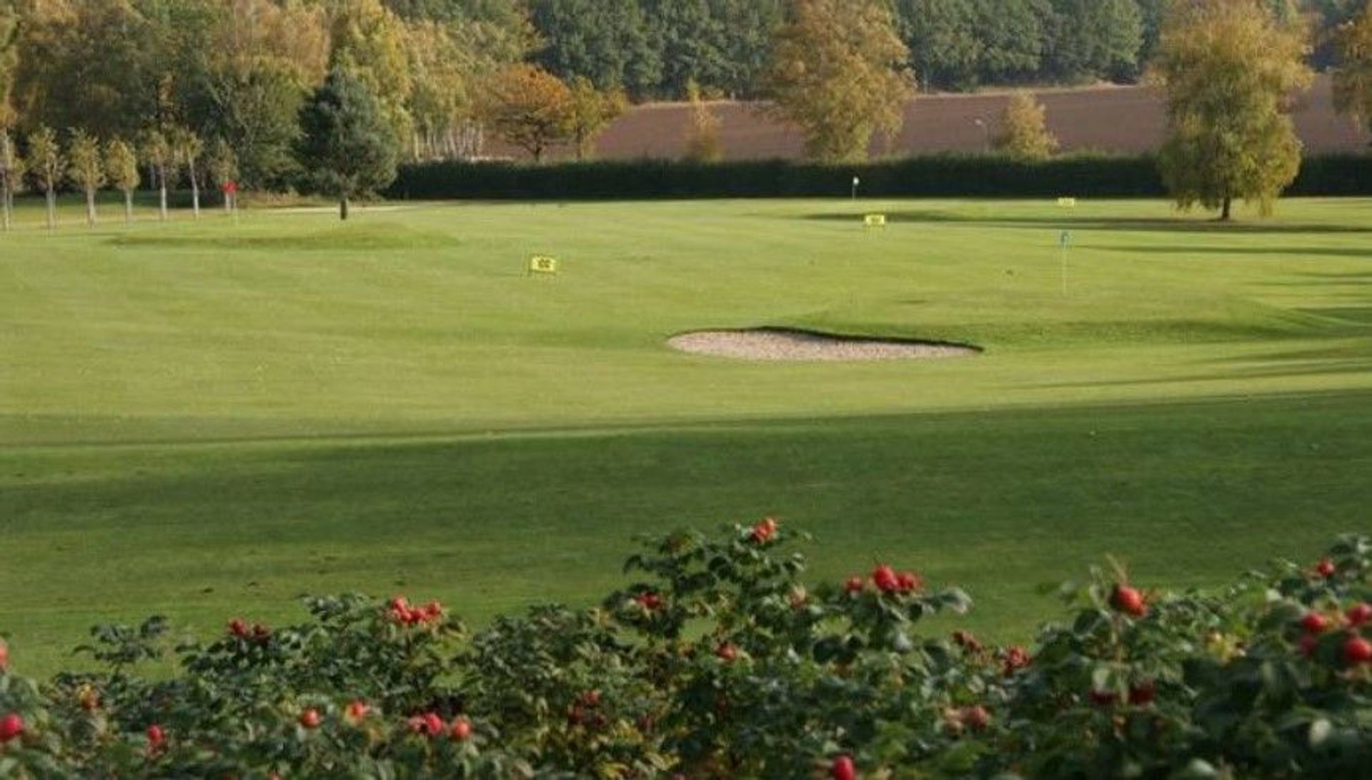 Hamburger Land und Golf-Club Hittfeld