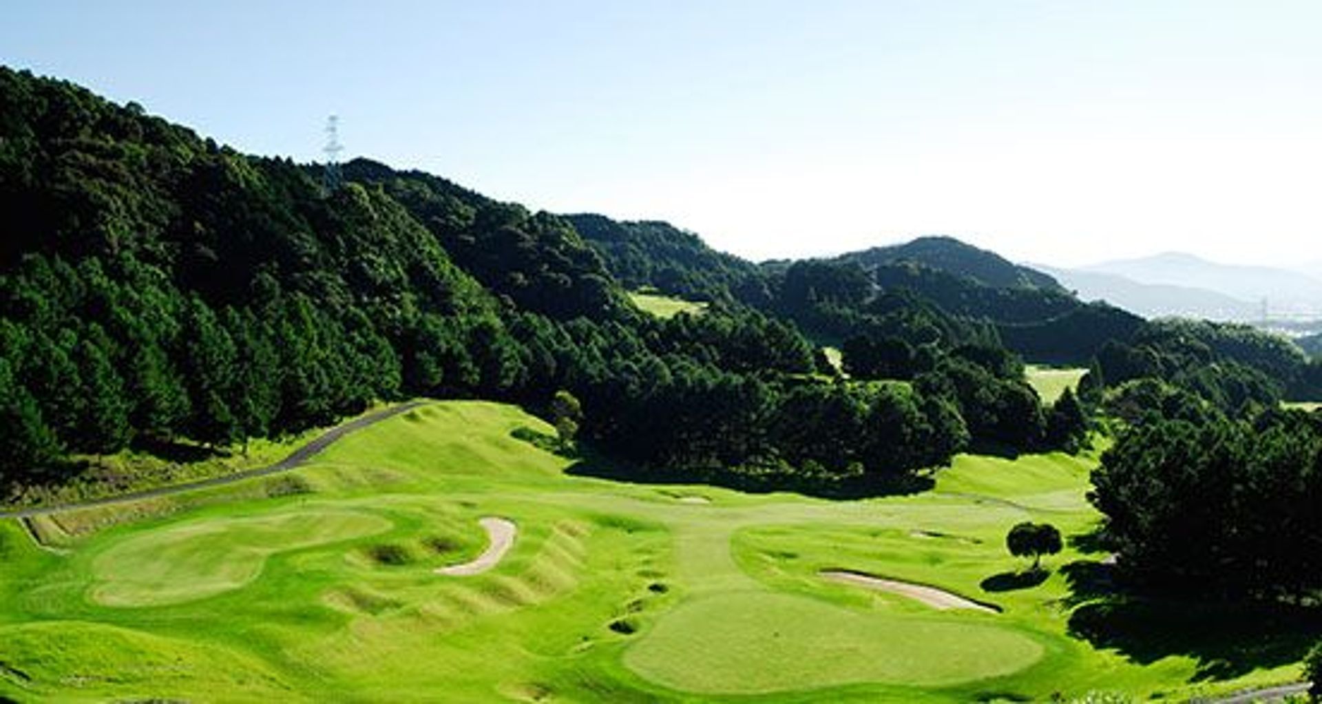 ゴルフコース好奇心: そうだったのか。ゴルフが楽しくなるコース