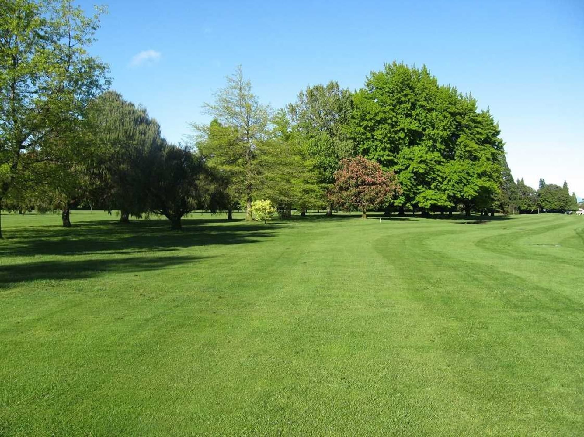 Blenheim Golf Club