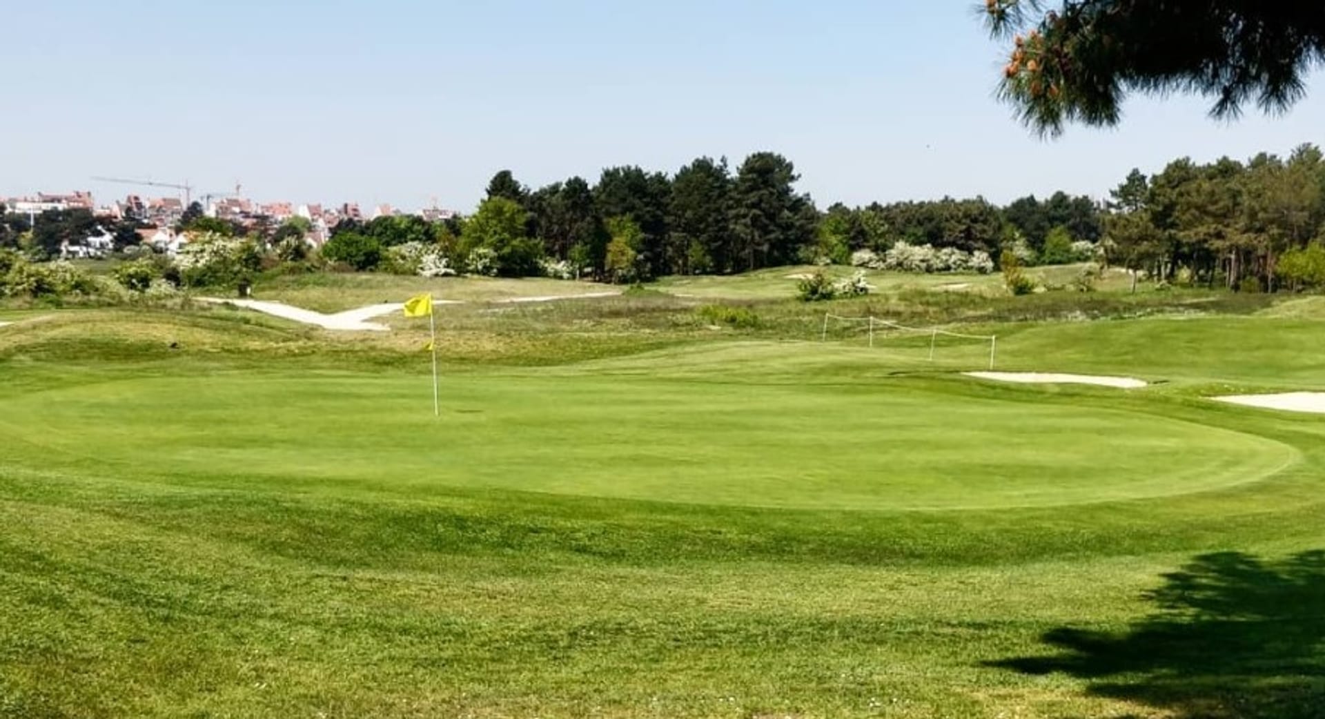 Royal Zoute Golf Club (Executive)