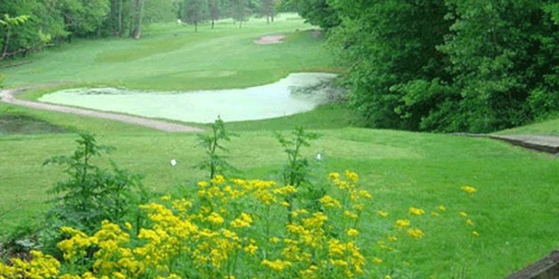 Raccoon International Golf Club