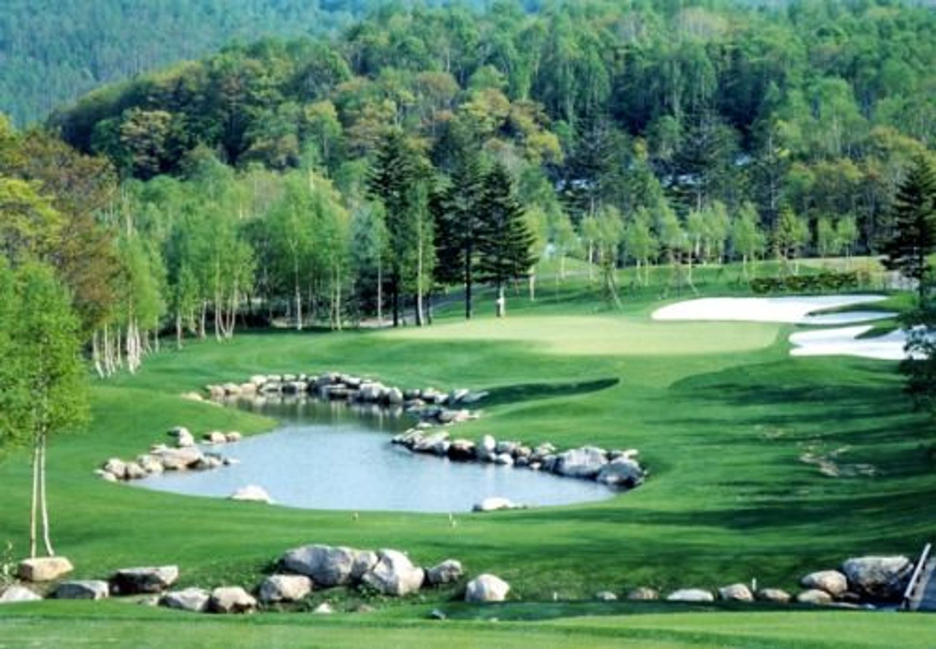 楽天市場】【中古】ゴルフコース好奇心—ANALYSIS OF A GOLF