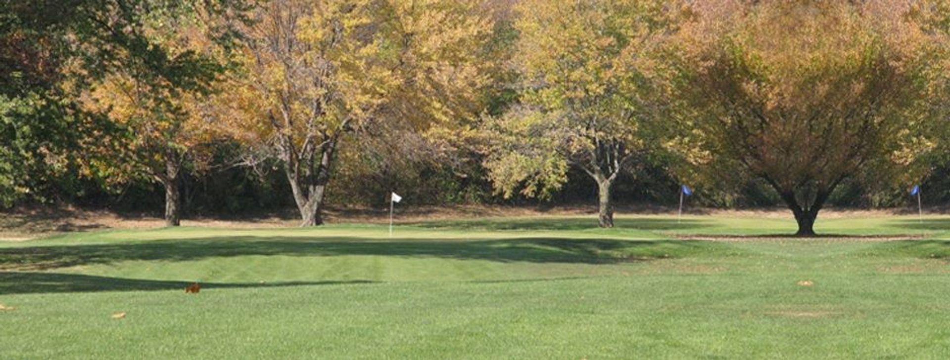 South Grove Golf Course