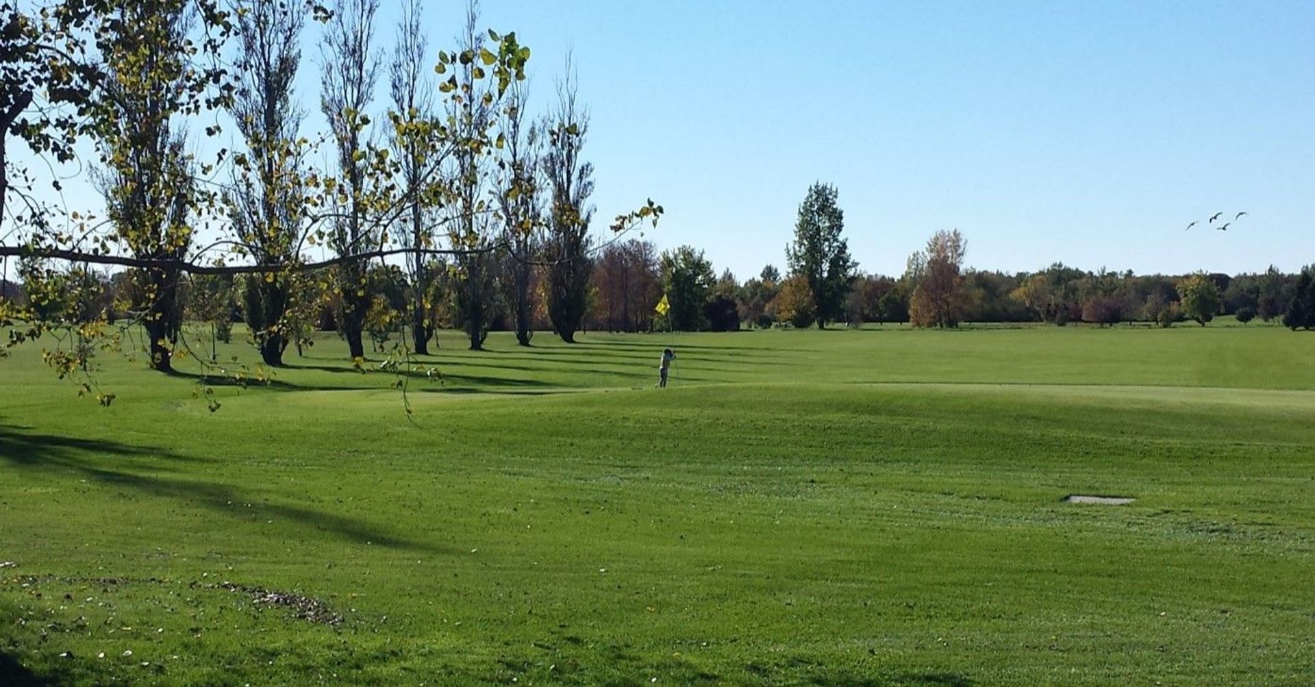 Scotswood Links