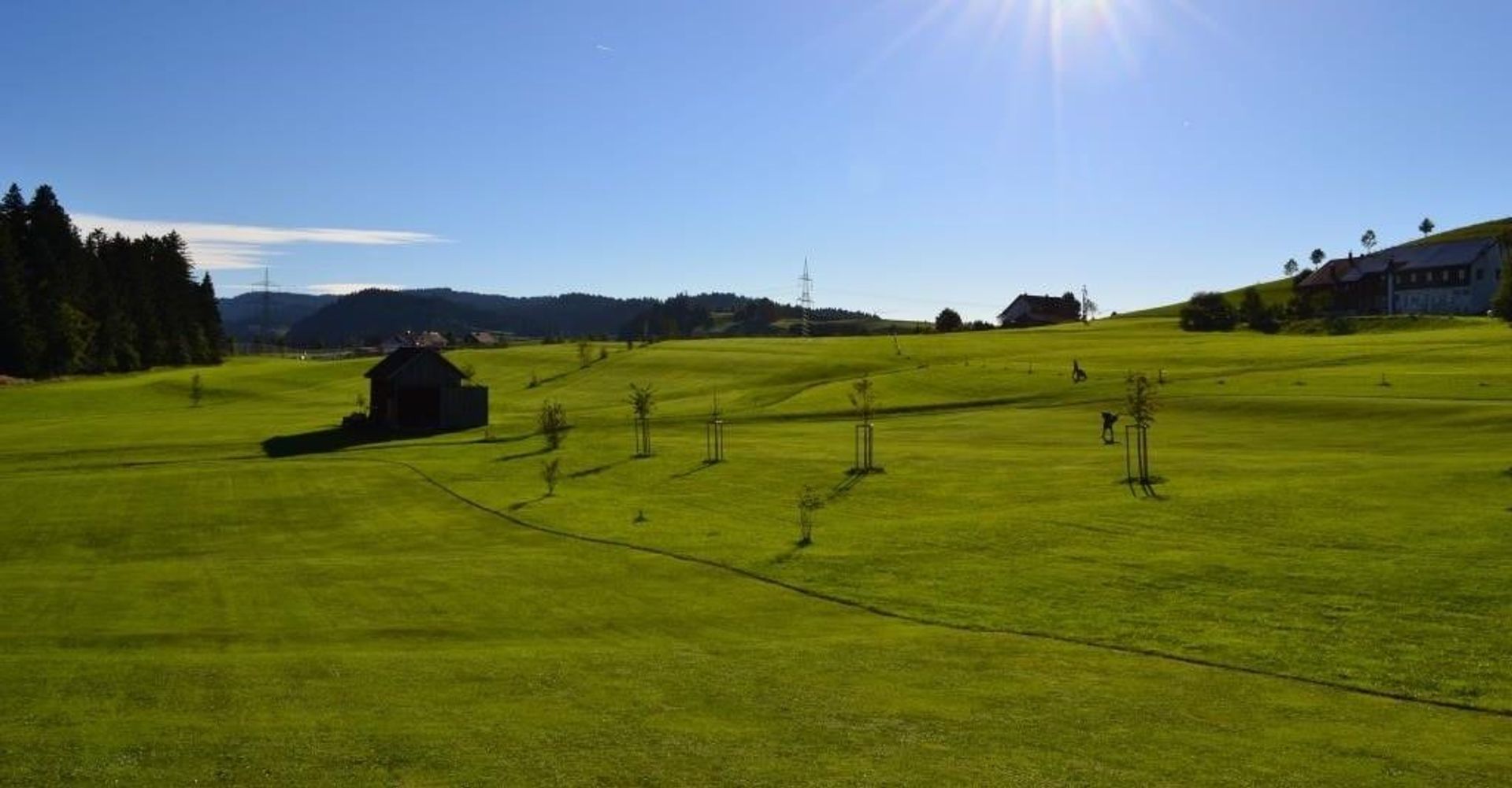 Golfplatz Scheidegg (Scheidegg)
