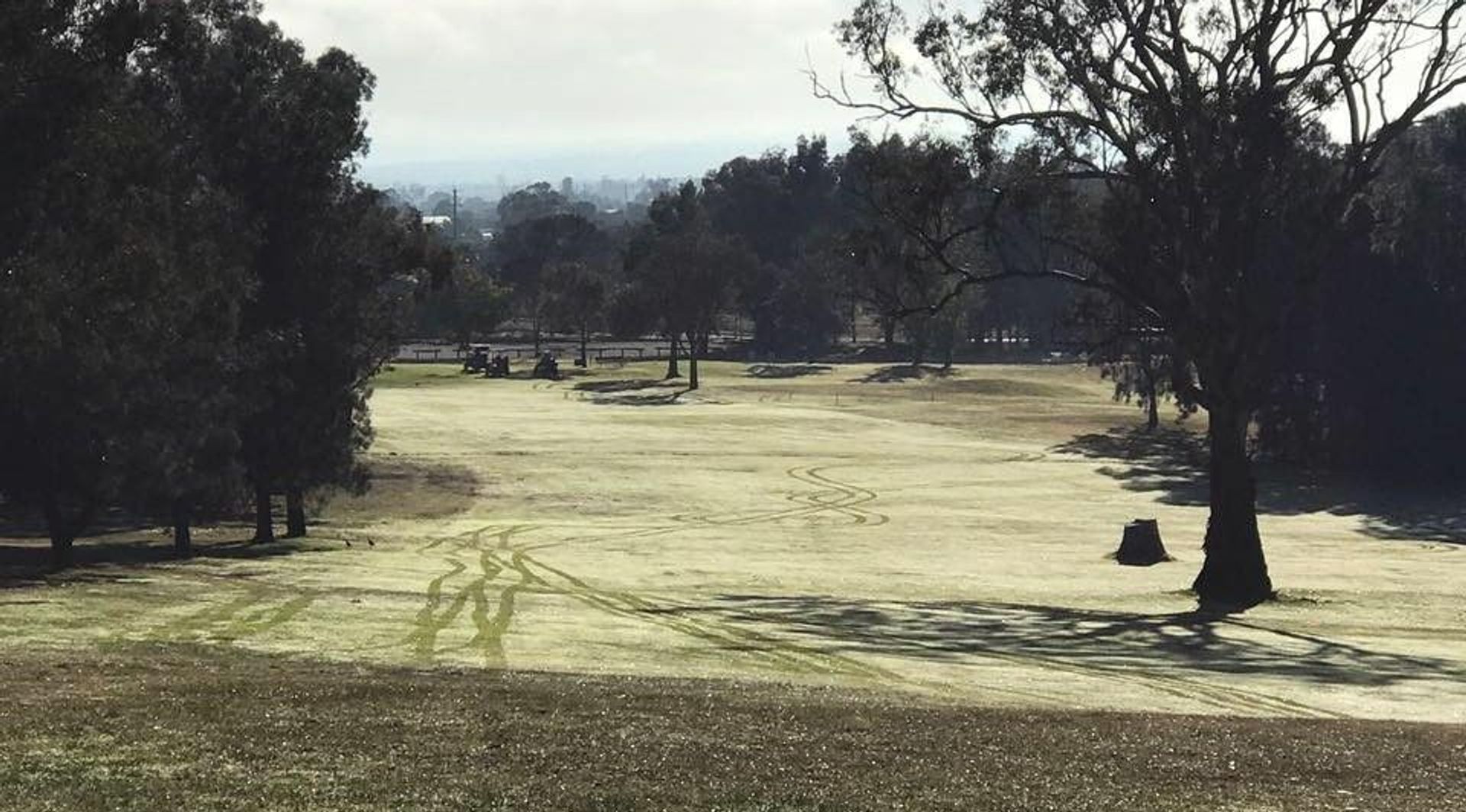 Denman Golf Club