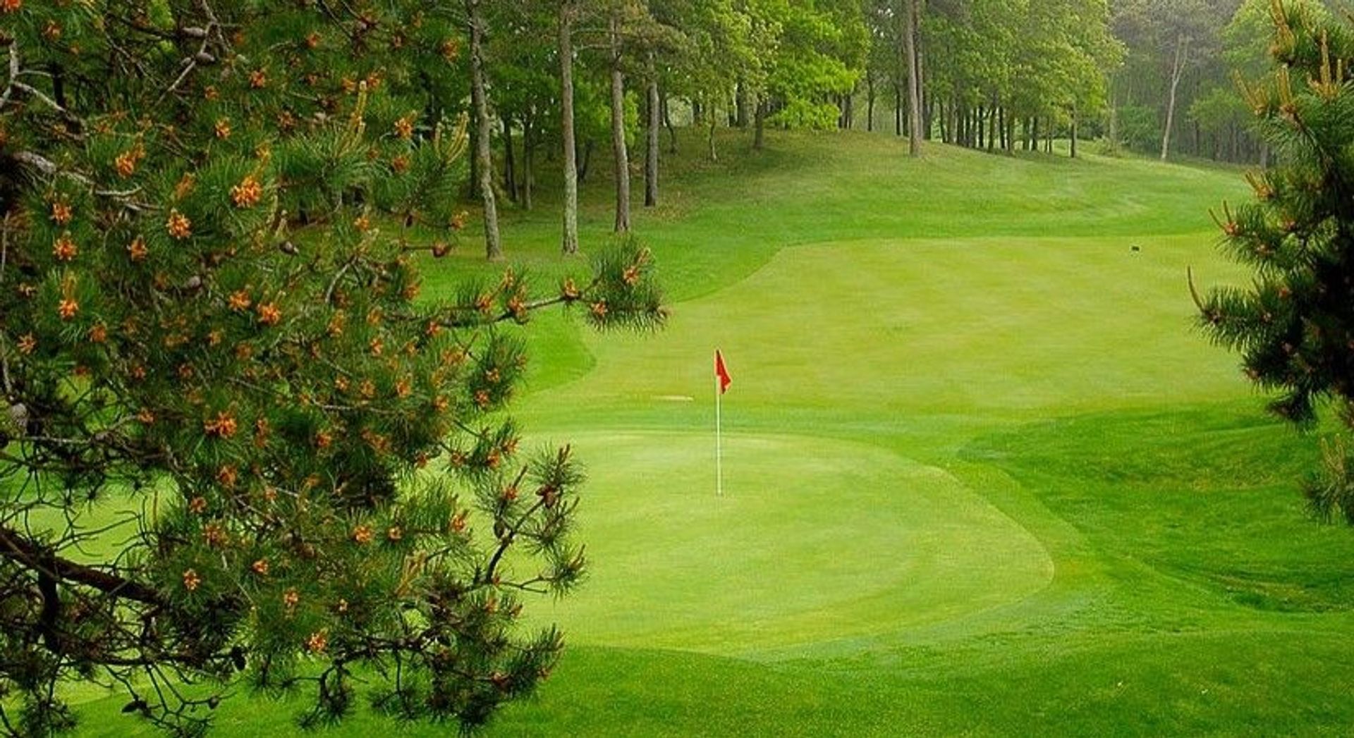 Kings Way Golf Club