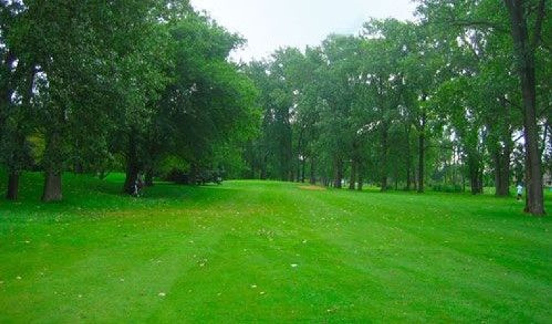 Scherwood Golf (Executive)