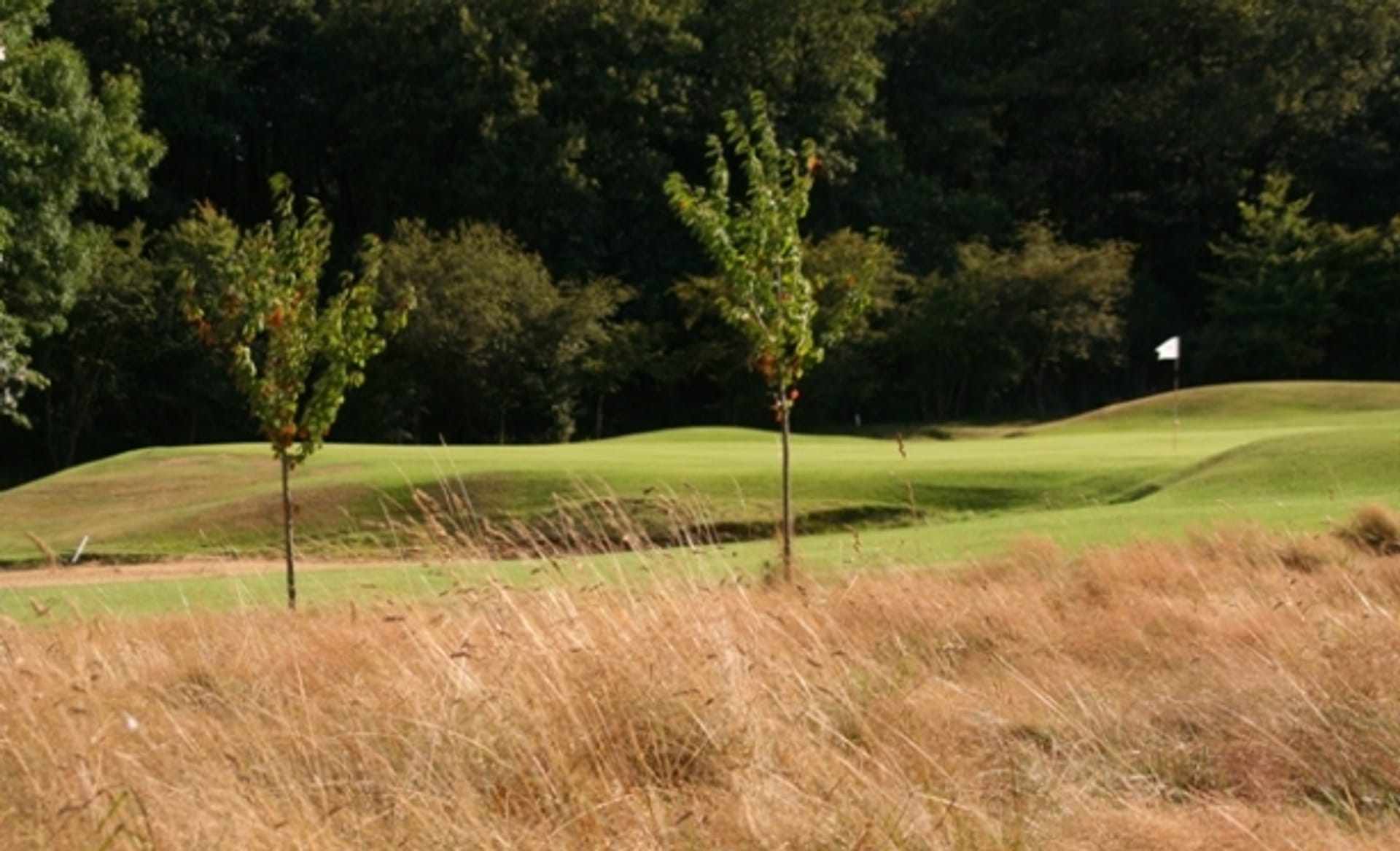 Golf de Loudun-Fontevraud (Pitch & Putt)