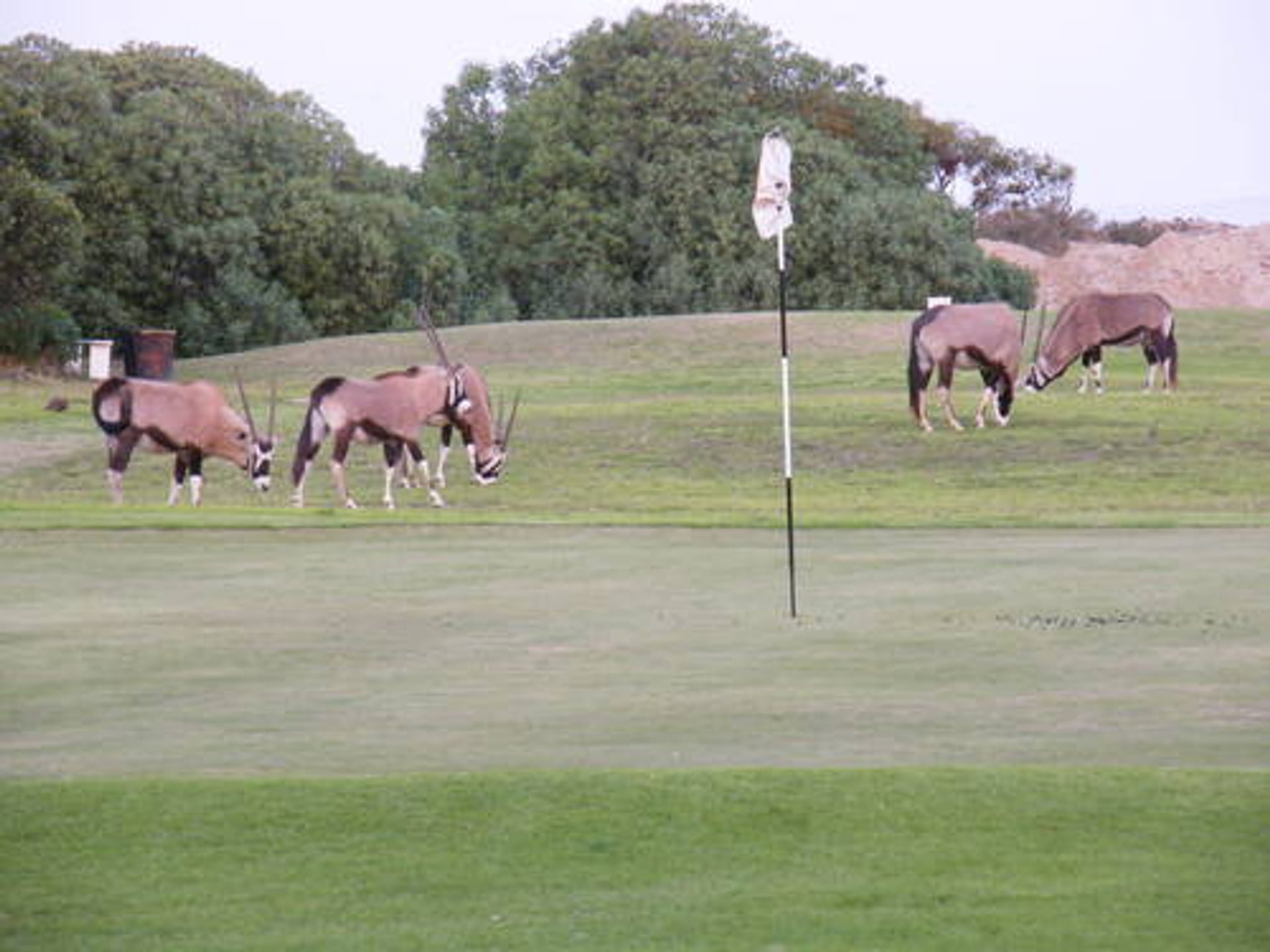 Alexanderbaai Golf Club