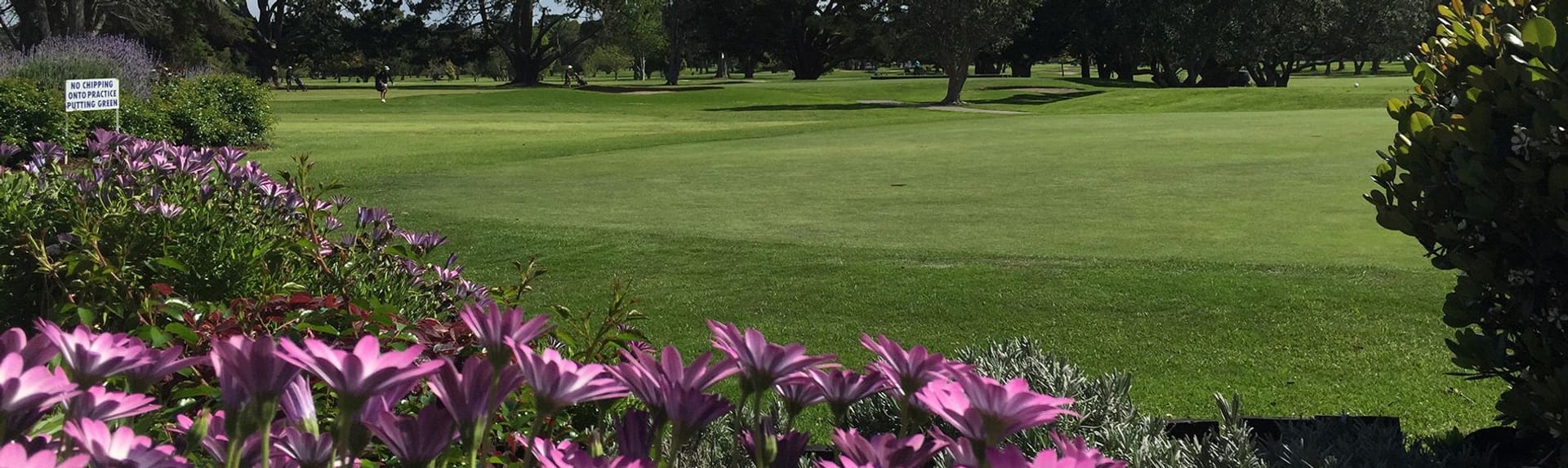 Waitemata Golf Club
