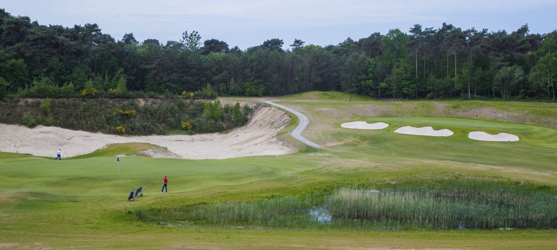 The Links Valley