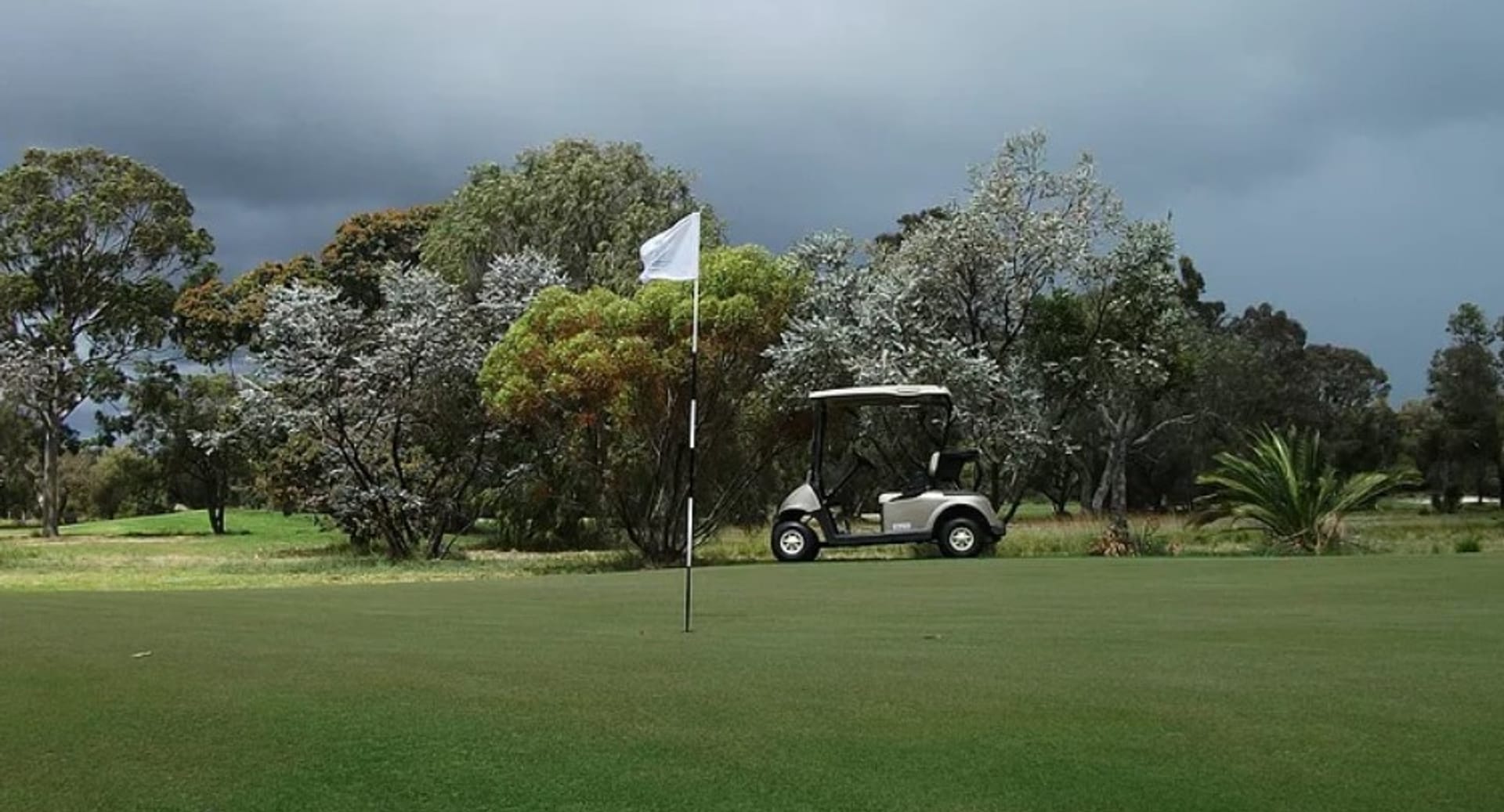 The Springs Club