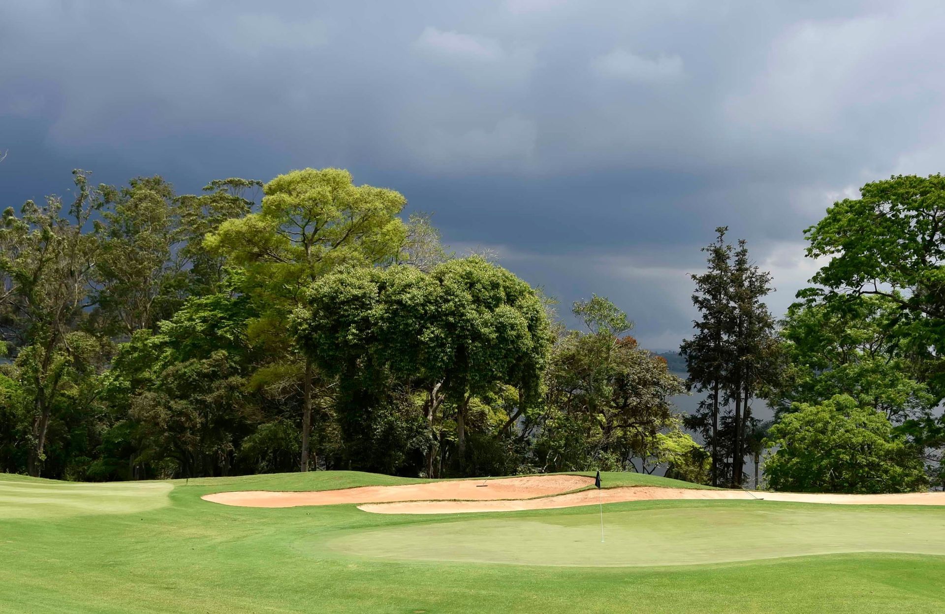 Federação Paulista De Golf