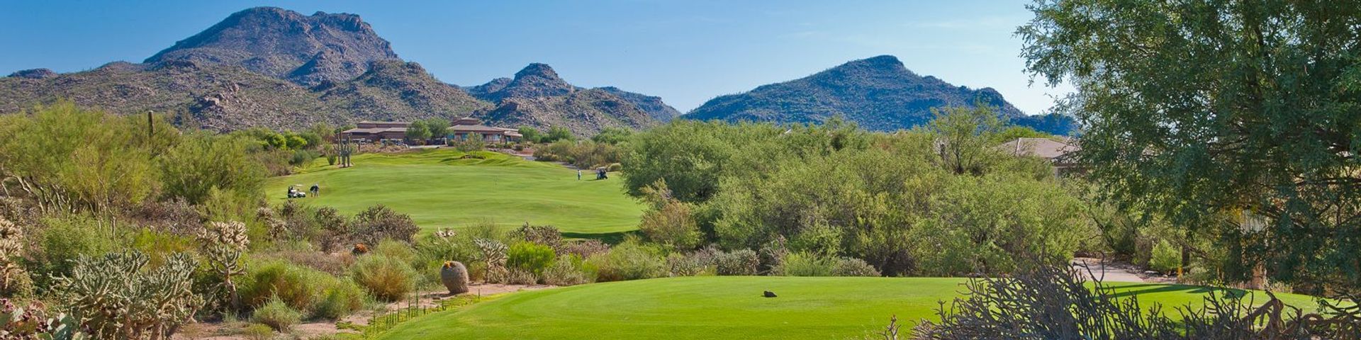 The Highlands at Dove Mountain