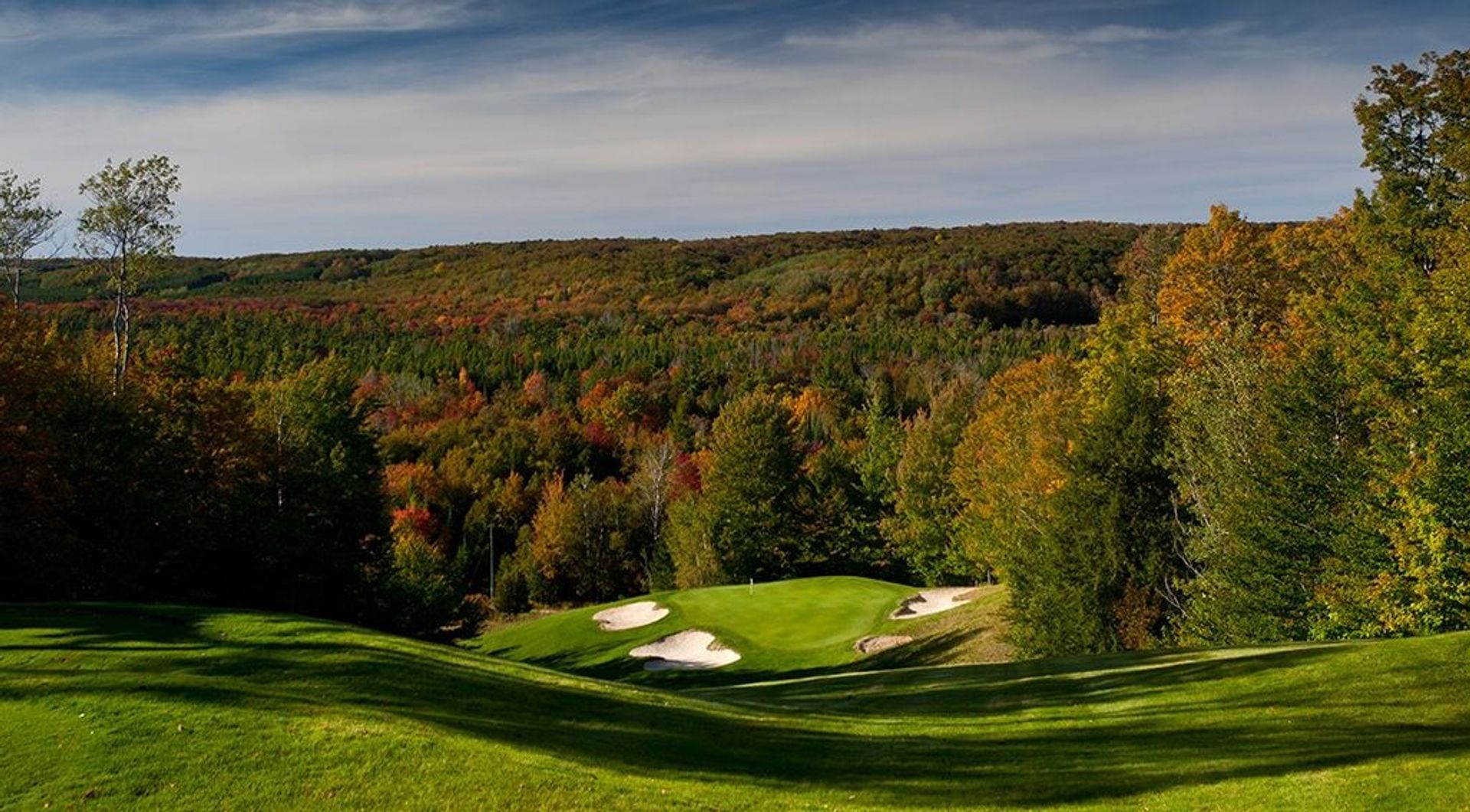 Treetops Resort (Premier)
