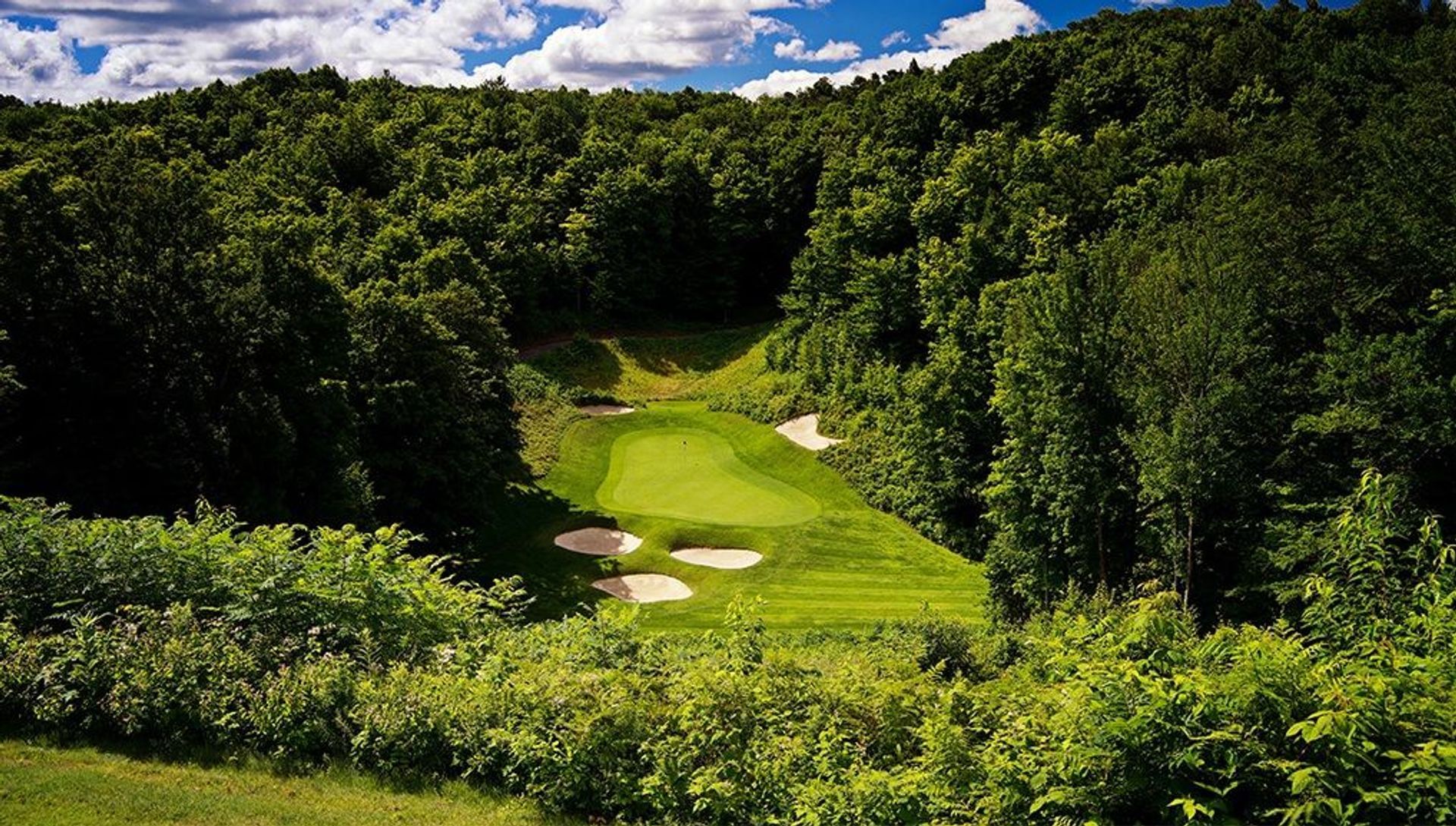 Treetops Resort (Threetops)