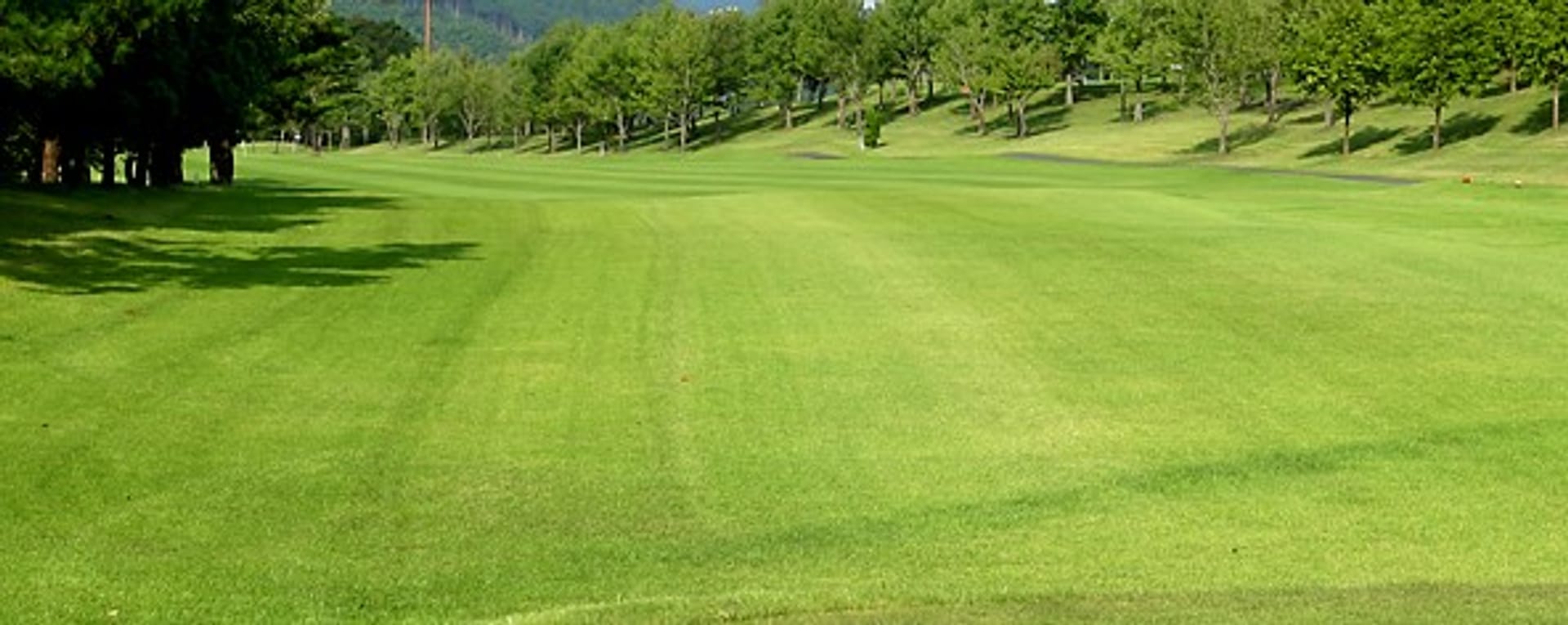 Fuji Country Club Saga