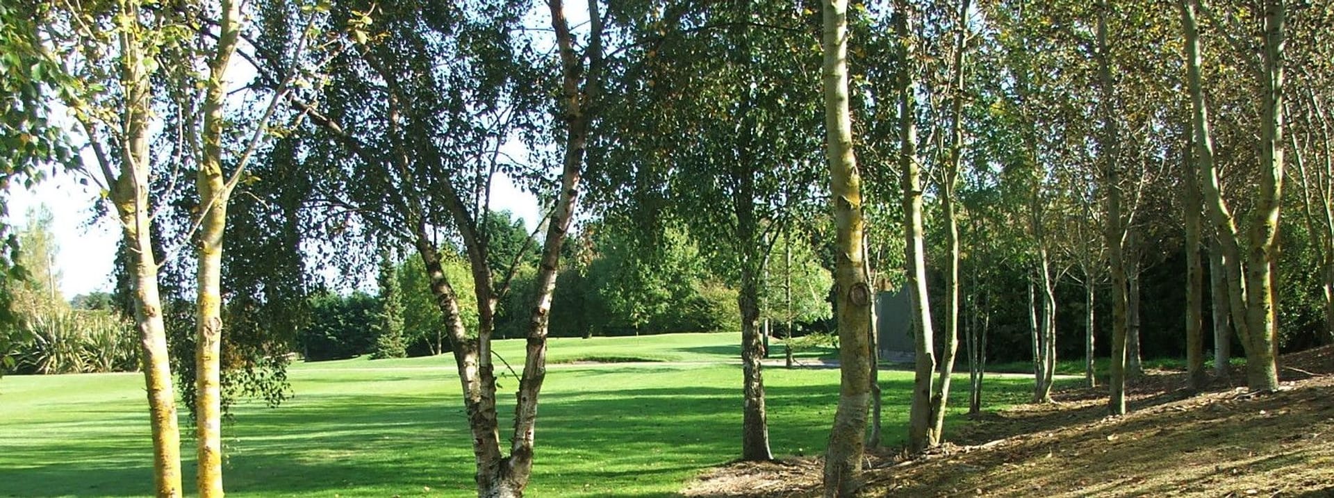 Julianstown Golf and Pitch & Putt