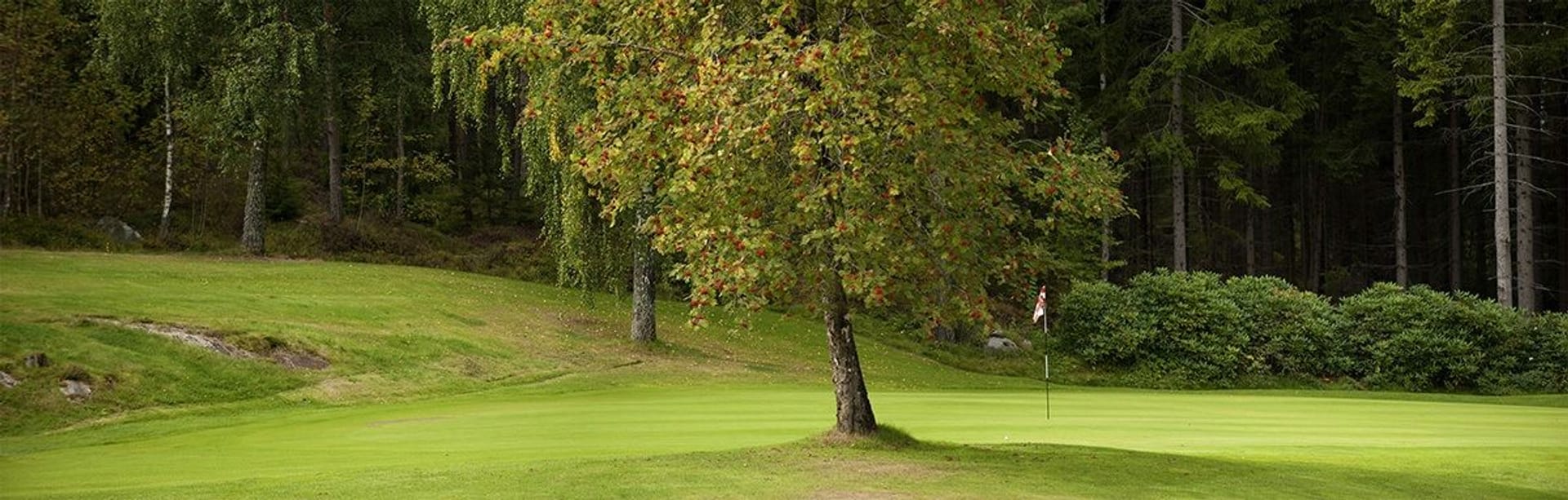 Onsøy Golfbane
